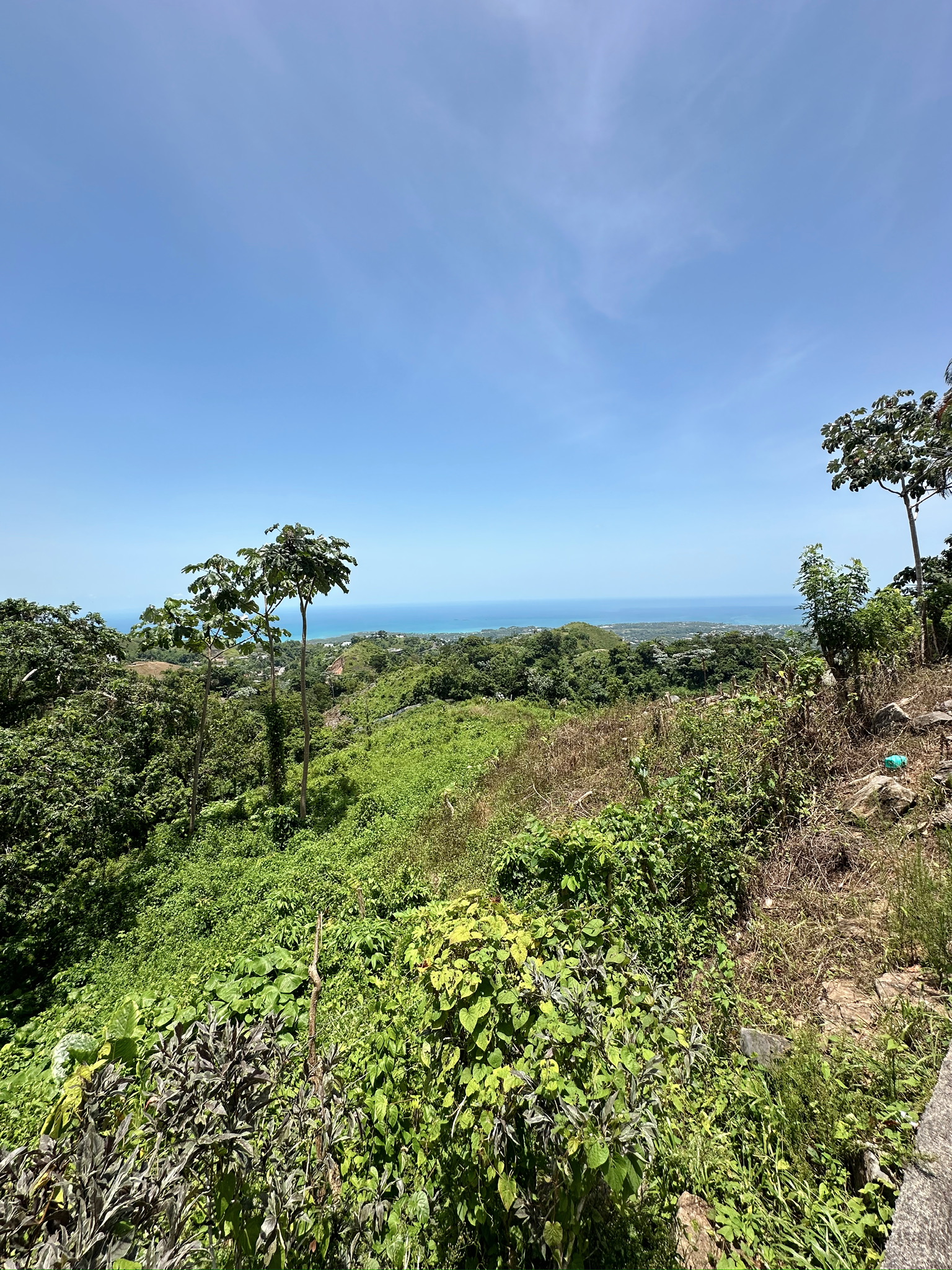 solares y terrenos - Terreno en las montañas con vista al mar, Samana 6