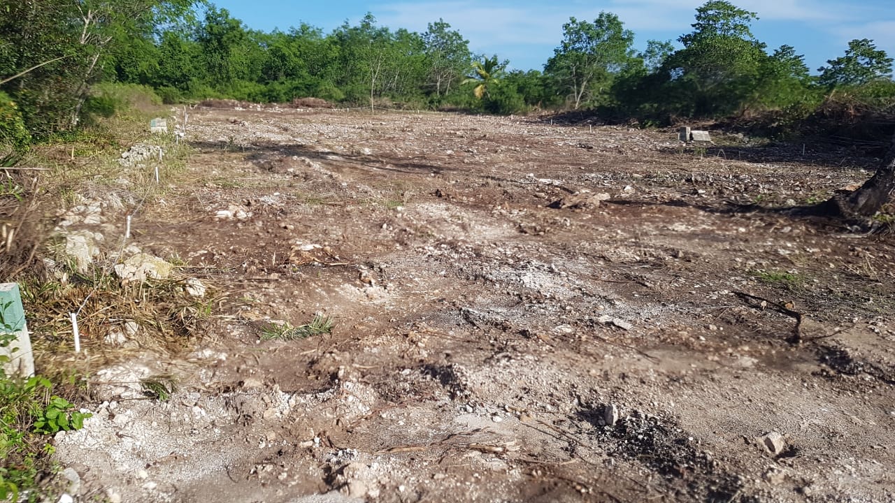 solares y terrenos - Terreno Bávaro frente a Alm Unidos a 30US$ 0
