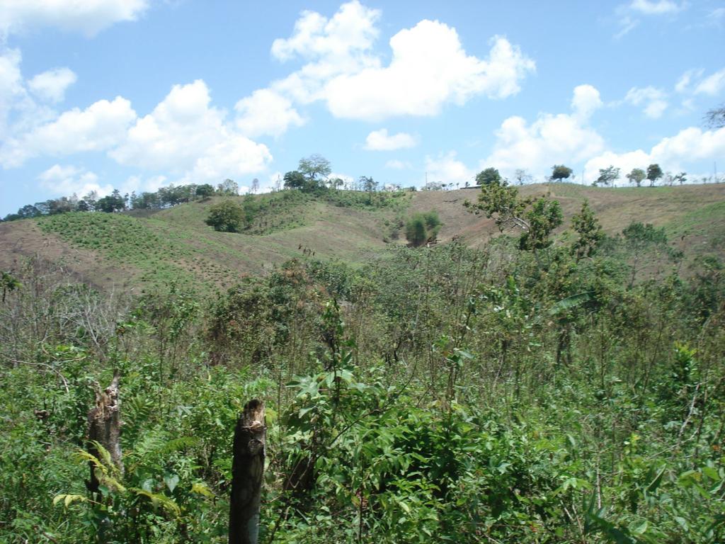solares y terrenos - Finca con Oro en San Cristobal Documentos en orden 3
