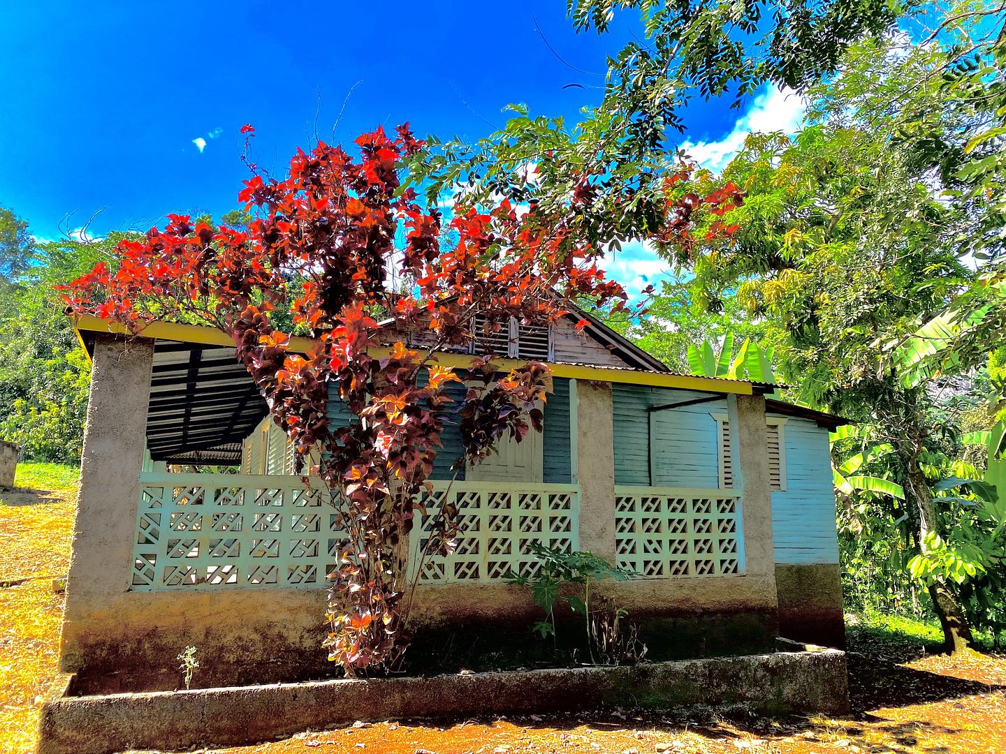solares y terrenos - Finca Hacienda de Cacao  2