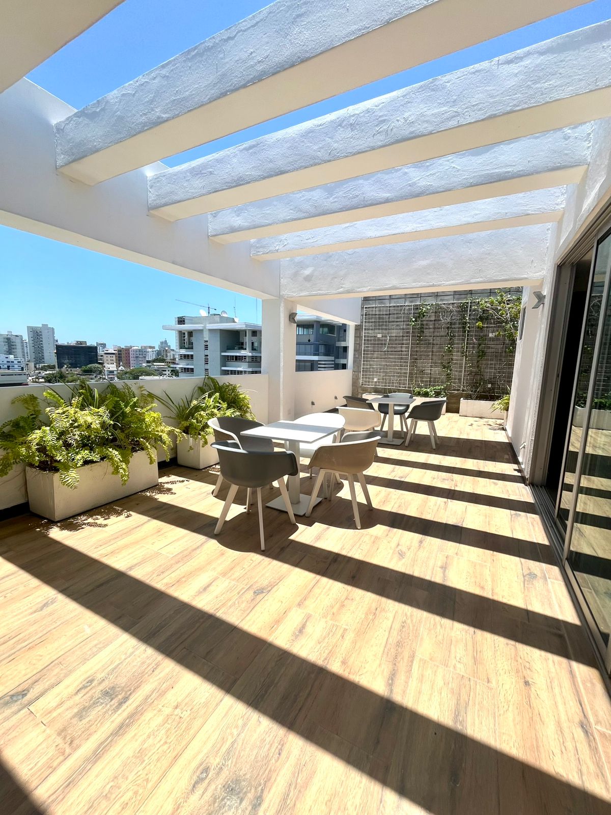 apartamentos - Apartamento en Alquiler Piantini  3
