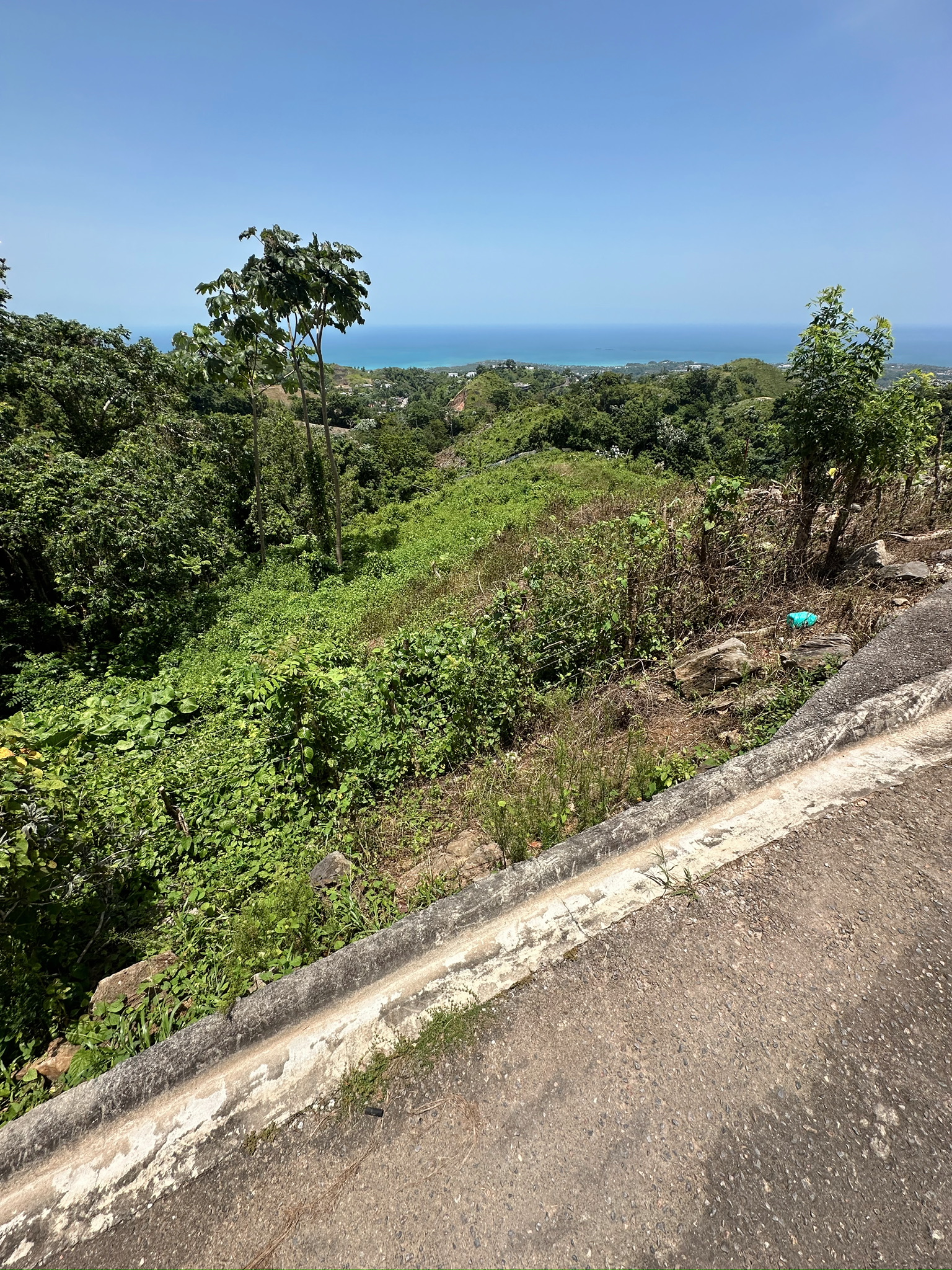 solares y terrenos - Terreno en las montañas con vista al mar, Samana 7