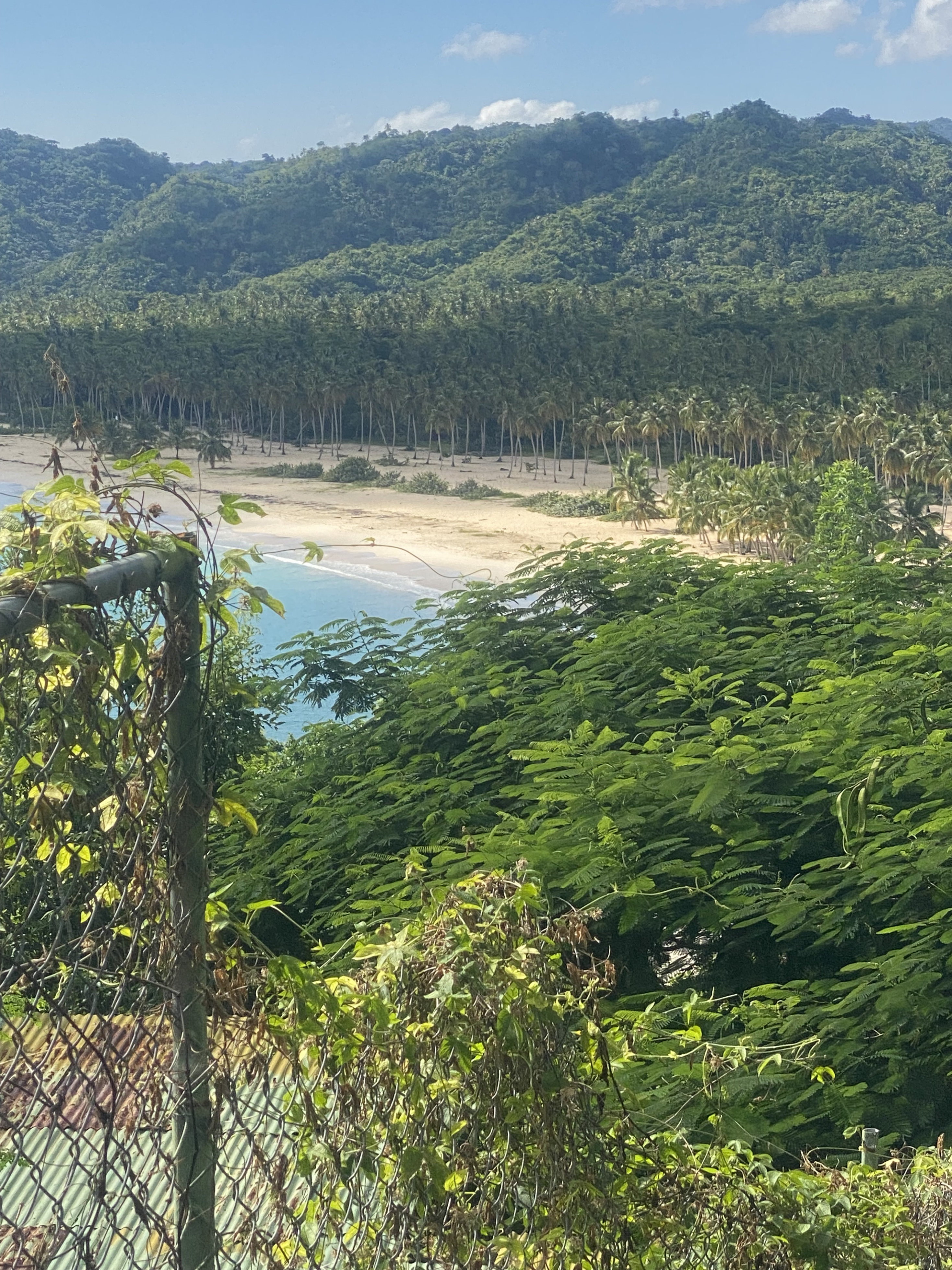 solares y terrenos - se vende en playa Ricon  7