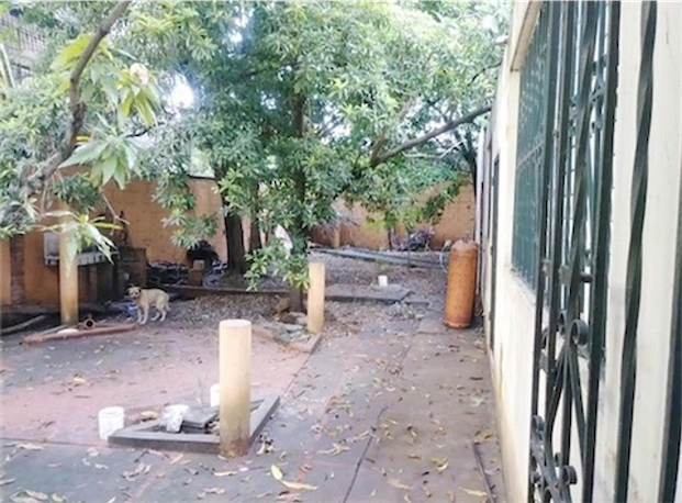 casas - Propiedad en el millon 732m 1