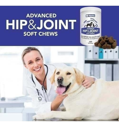 Salud y Equipamiento Médico - Glucosamina Condroitina Con Tumeric Para Perros - 250 Dosis 3