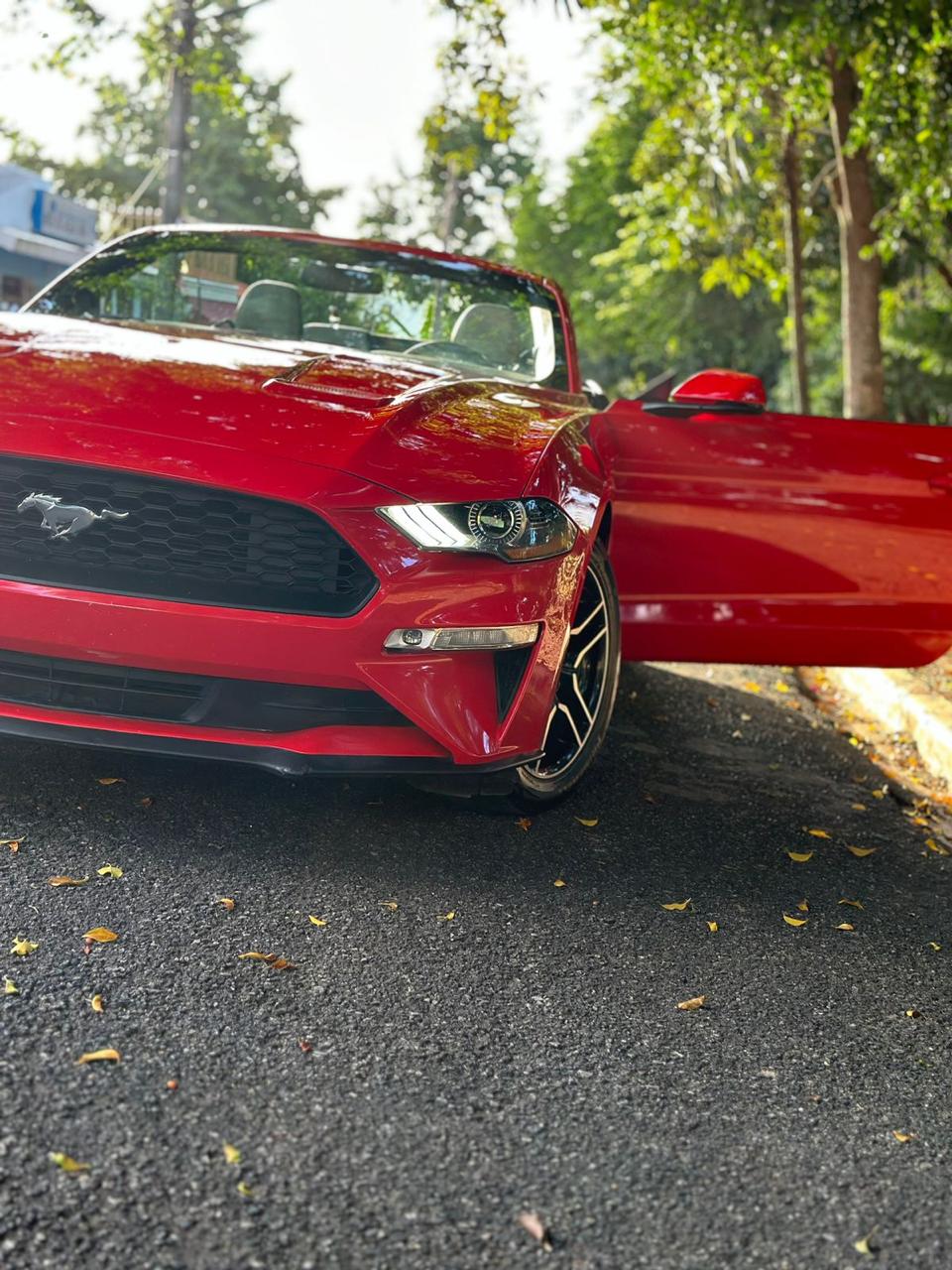 carros - Ford Mustang 2019 Convertible 7