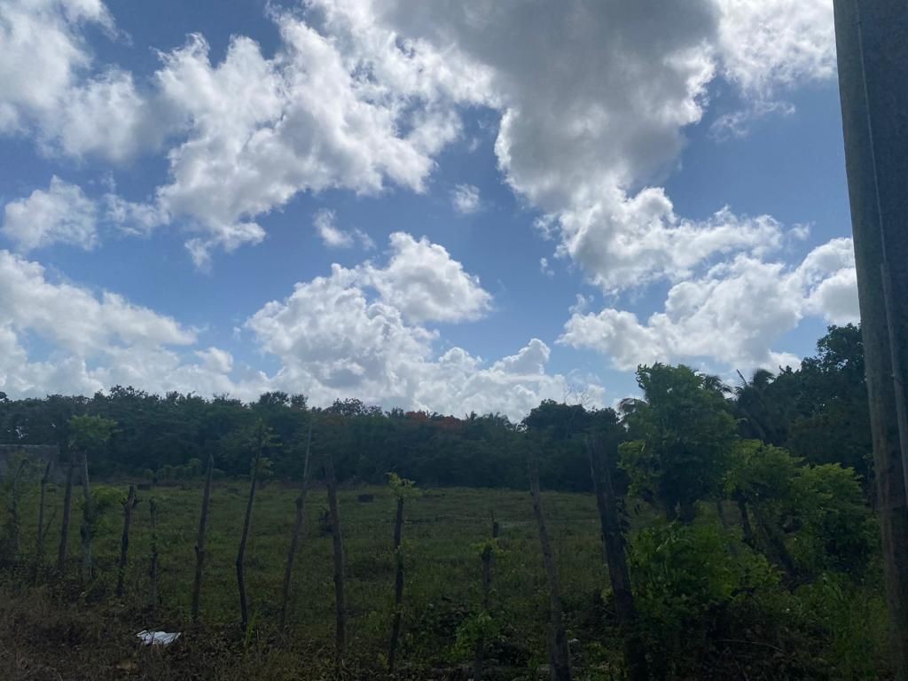 solares y terrenos - Solar en enta Manoguayabo de 18,147m2