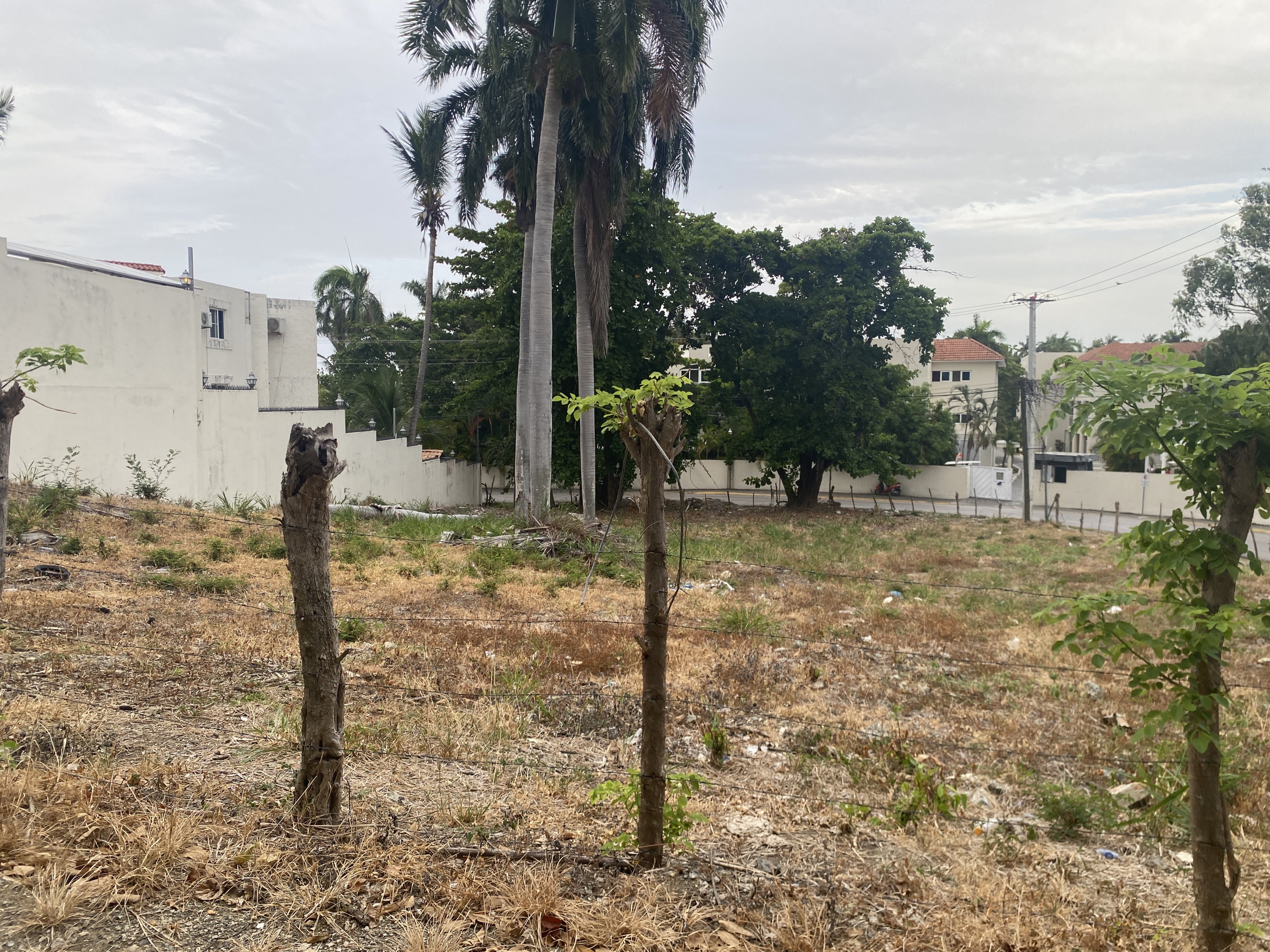 solares y terrenos - solar próximo a la playa en cofresi Pto plata  6