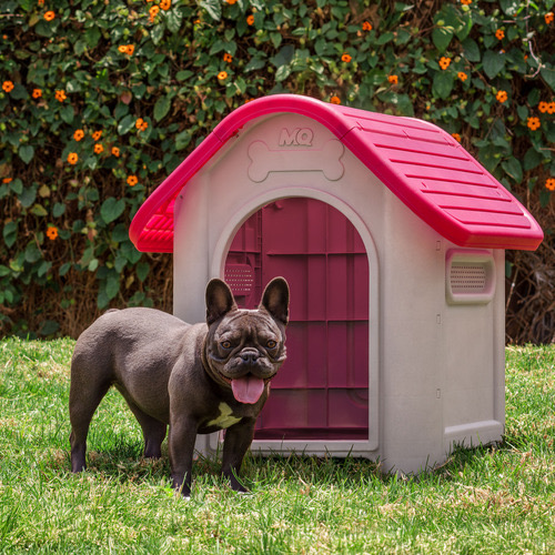 animales y mascotas - CASA PARA PERROS MQ MÁS PLATO GRATIS ***NUEVA*** 3 colores a elegir 1