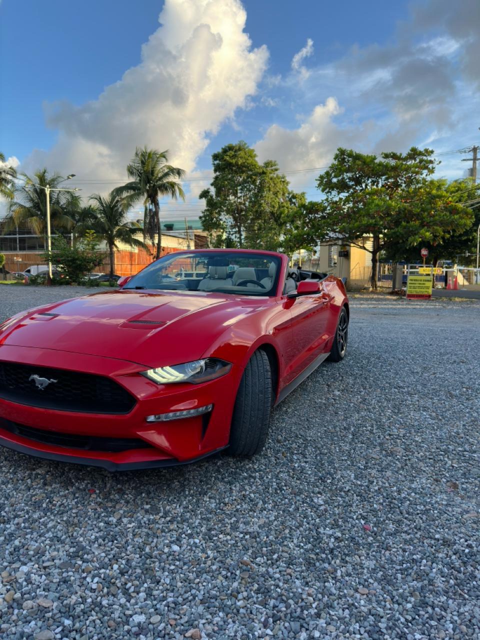 carros - Ford Mustang 2019 Convertible 4
