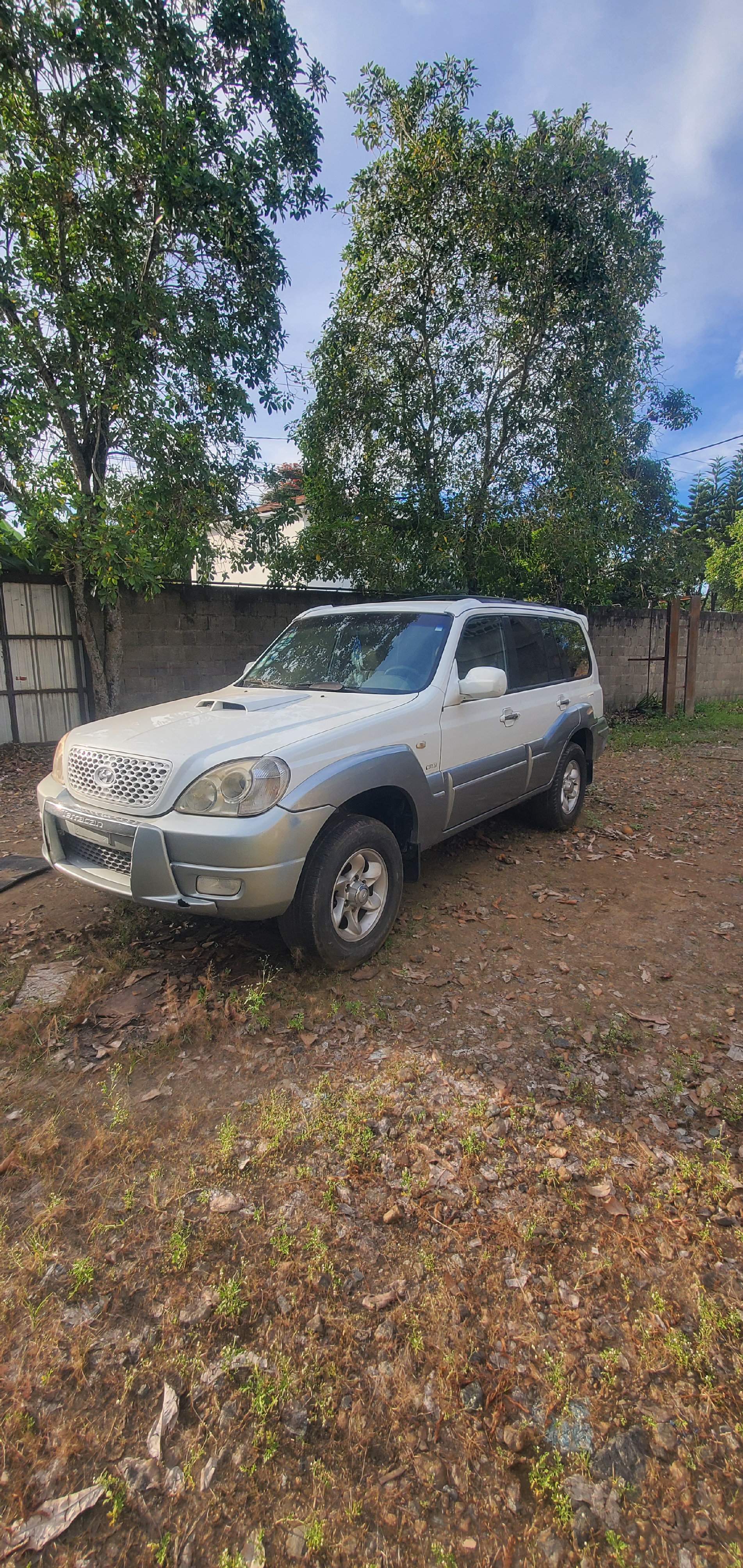 jeepetas y camionetas - hyundai Terracan  0