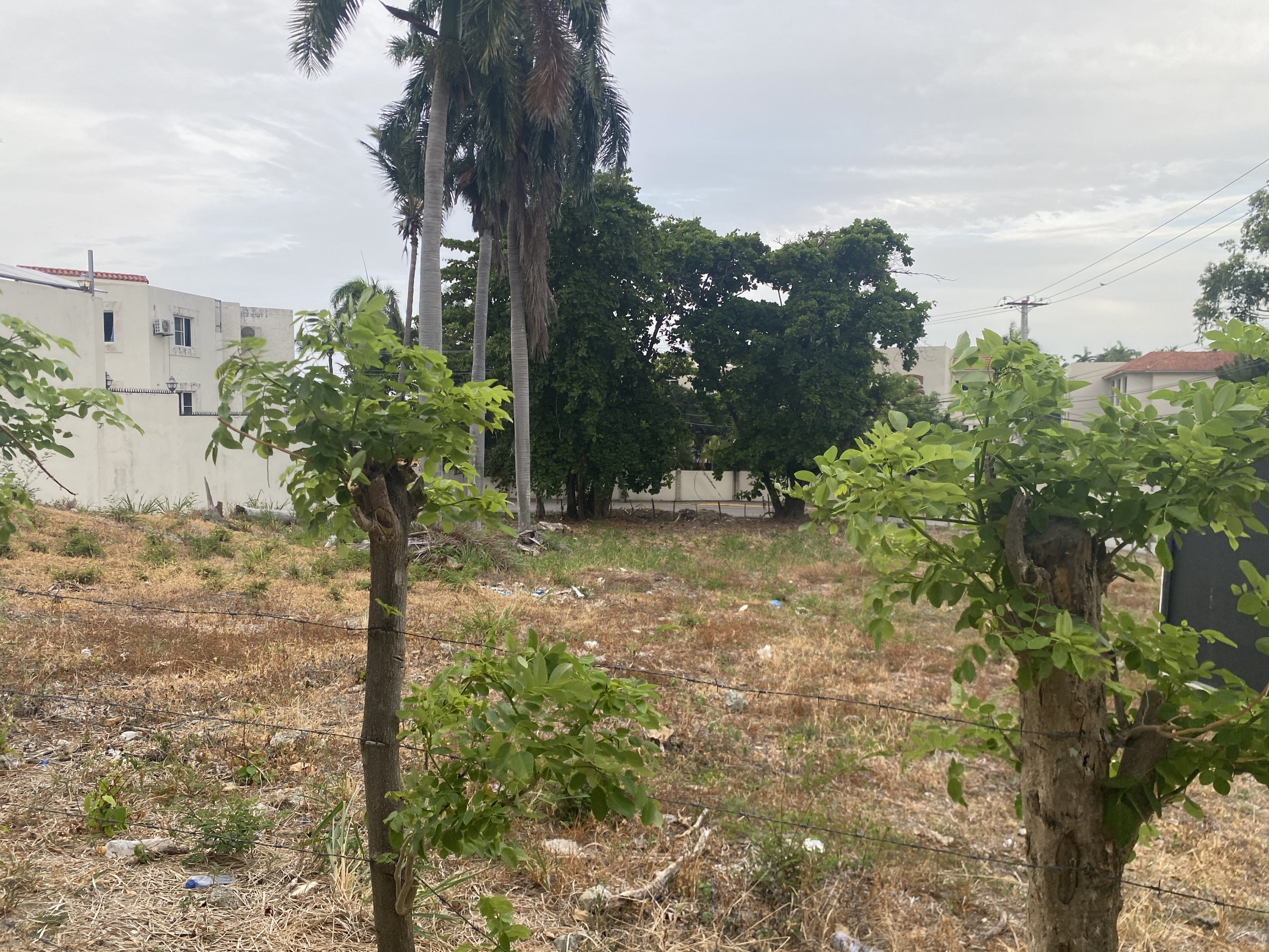 solares y terrenos - solar próximo a la playa en cofresi Pto plata  3