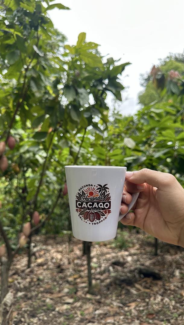 solares y terrenos - Finca Hacienda de Cacao  4