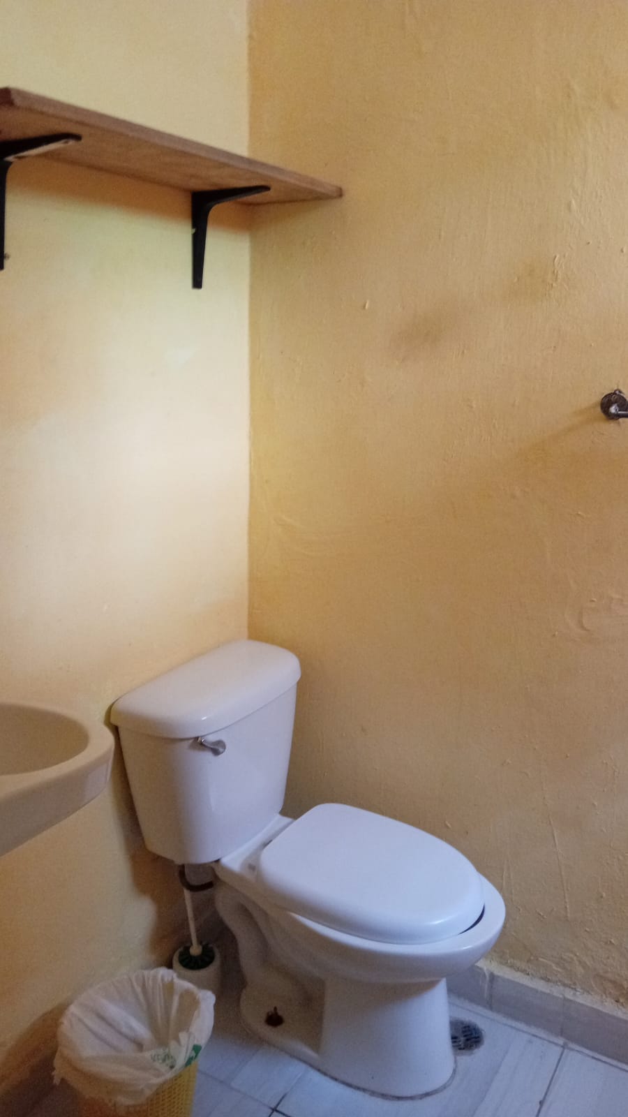 apartamentos - Alquiler Apartamento Estudio, Zona Colonial 3