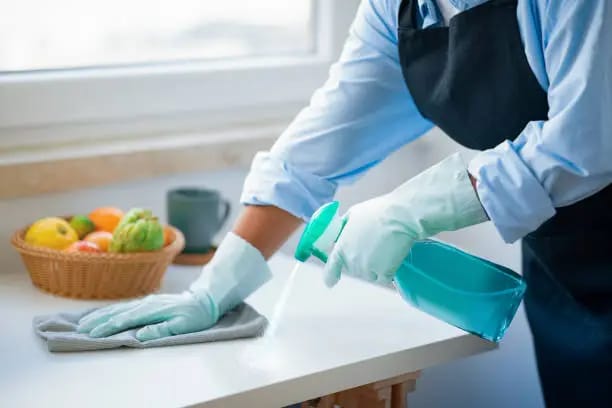 servicios profesionales - Necesita Servicios Domésticos o Conserjes?  0