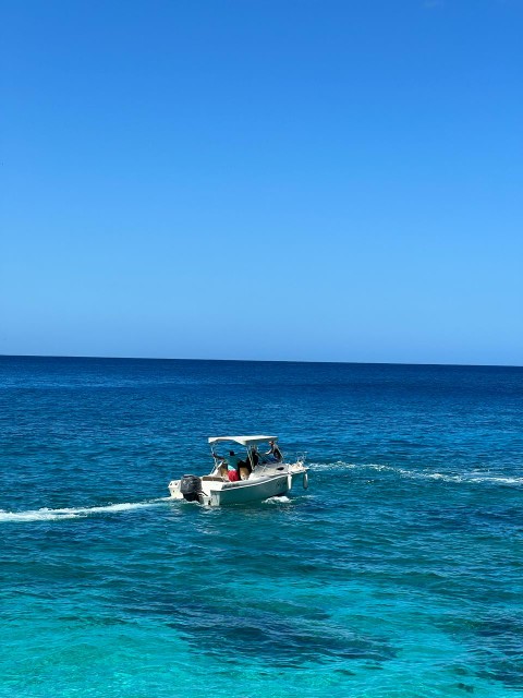 botes - Oferta Lancha wellcraft 24.5ft  6