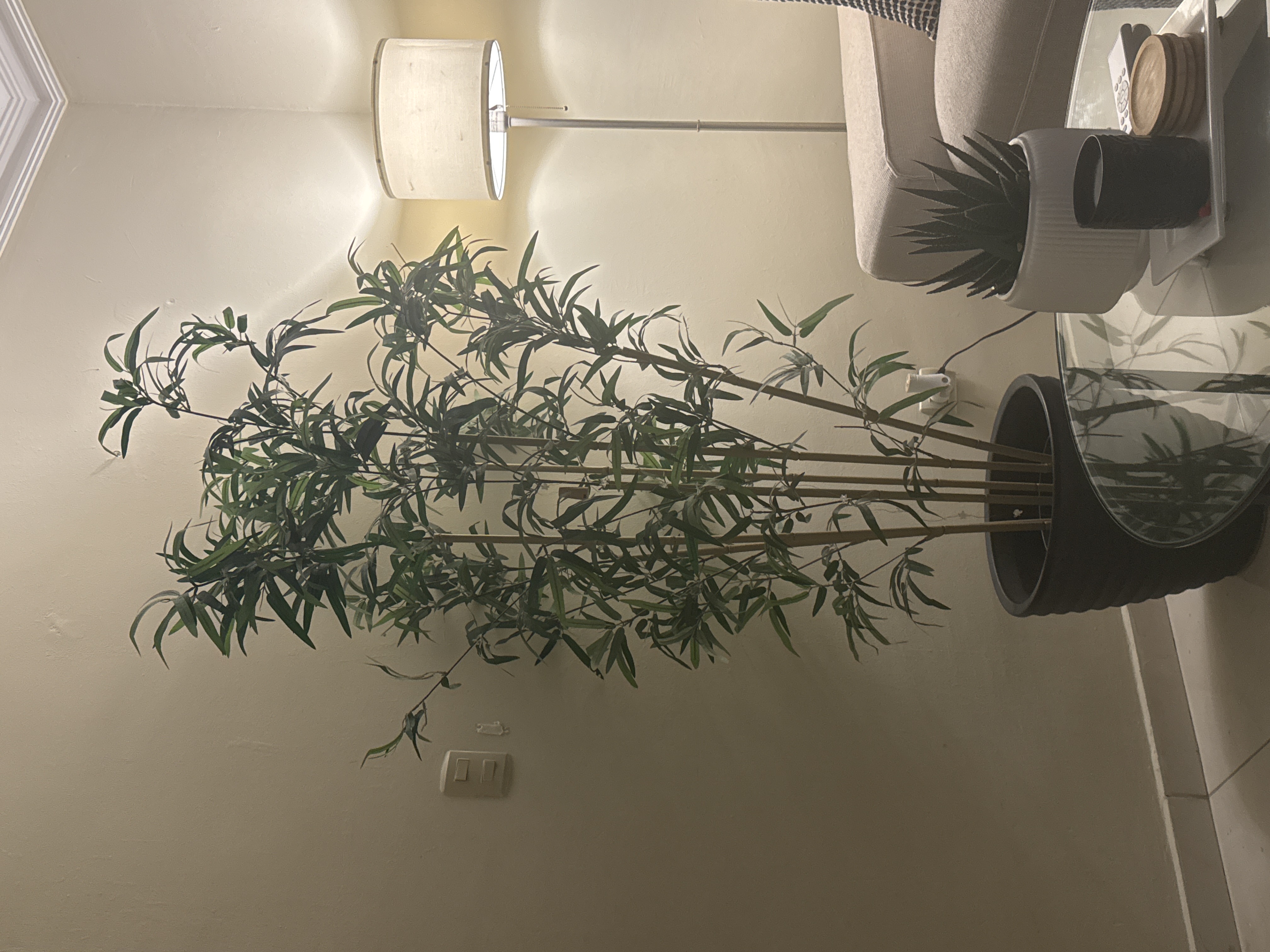 decoración y accesorios - planta de ikea  0