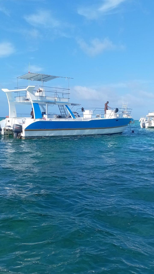 botes - Vendo catamarán turístico en funcionamiento   Interesado llamar 034 619942842 3