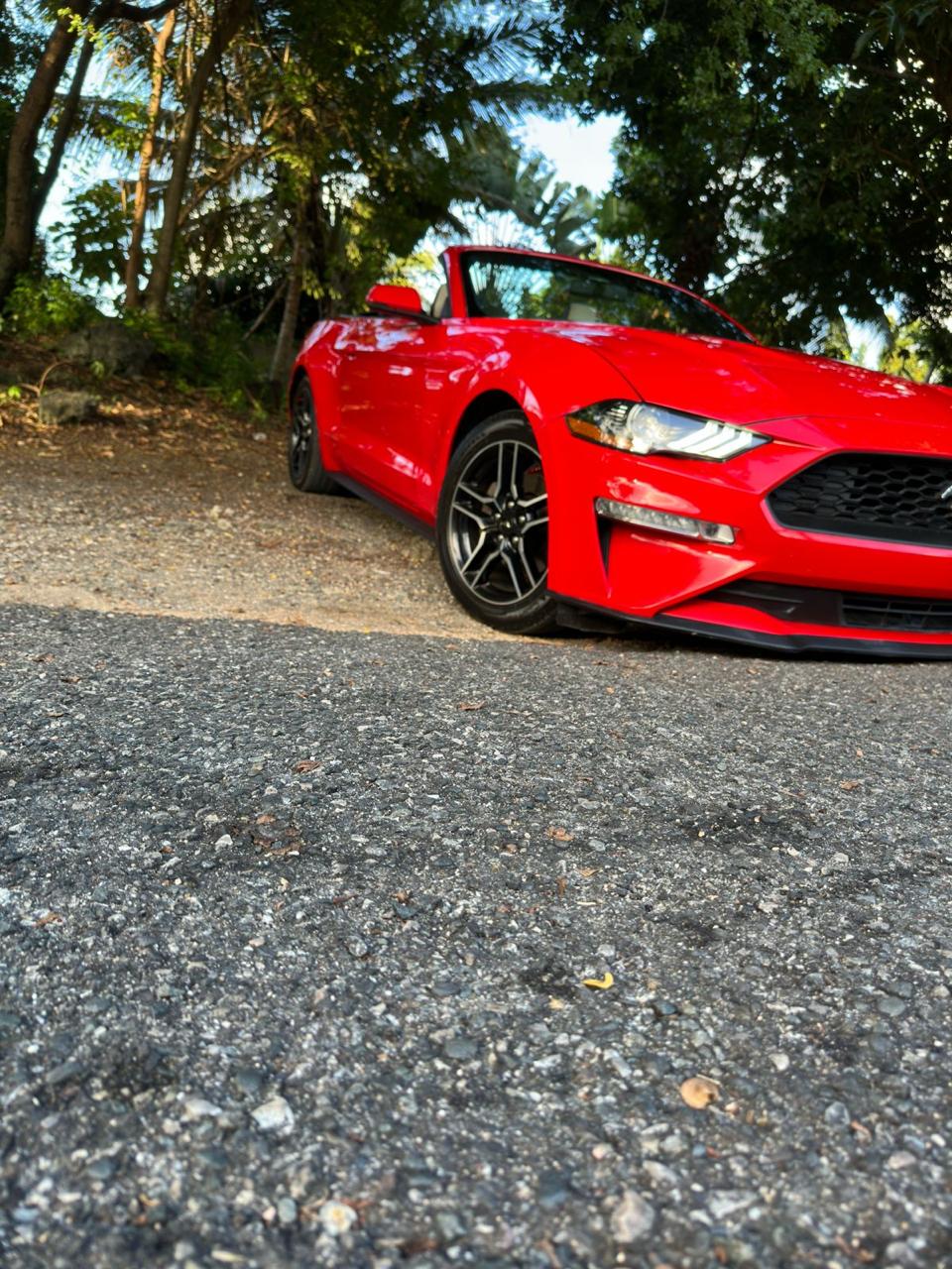 carros - Ford Mustang 2019 Convertible 6