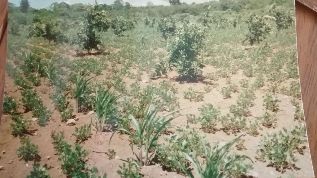 solares y terrenos - Finca con Oro en San Cristobal Documentos en orden 7