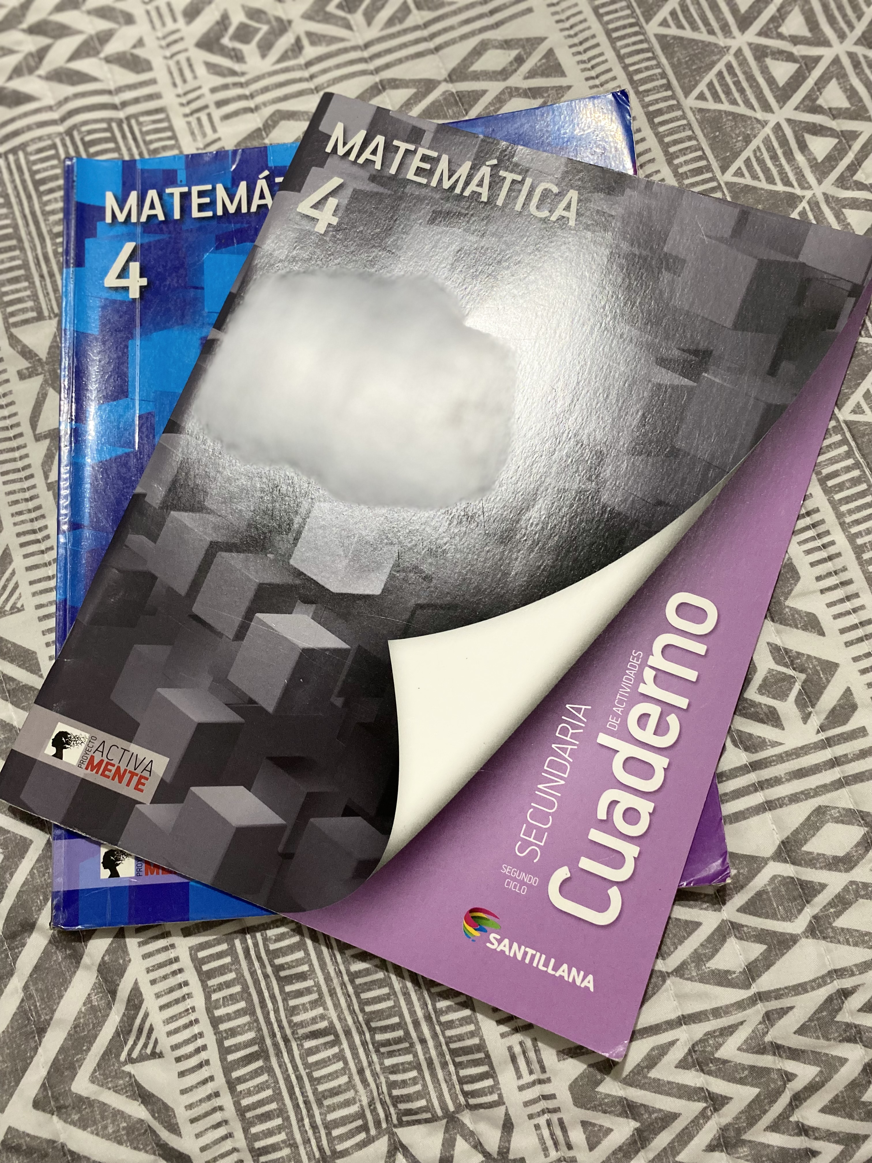libros y revistas - Libros Santillana usados con cuadernillos nuevos 