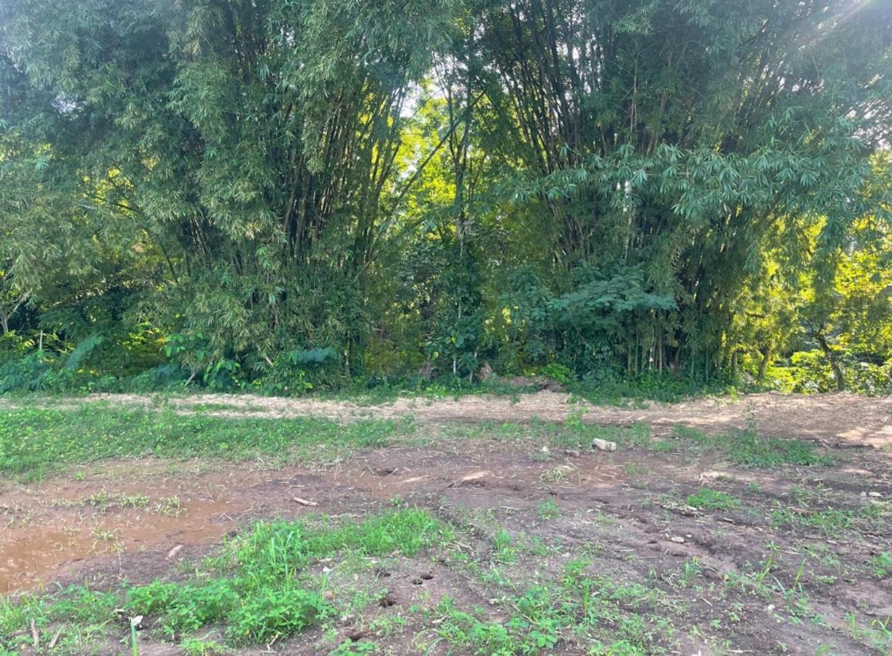 solares y terrenos - VENTA 8 SOLARES CON CONCEPTO RESIDENCIAL – PIEDRA BLANCA BONAO 0