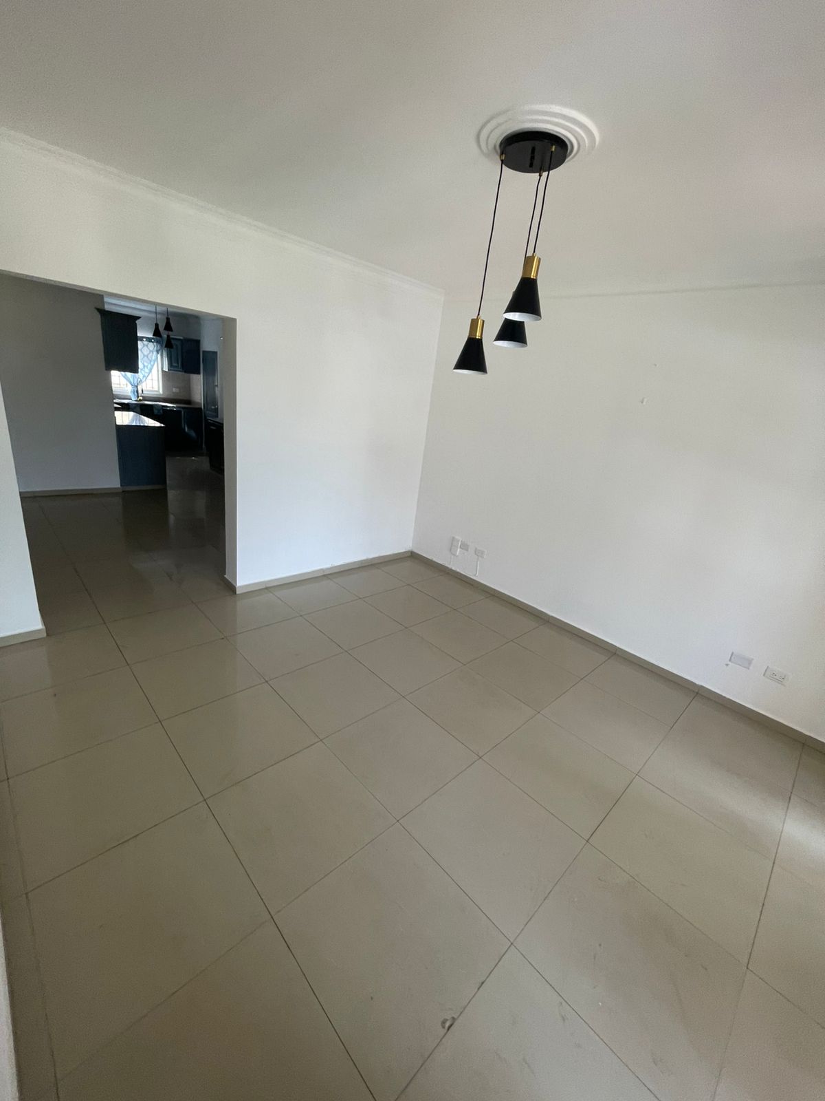 penthouses - PENTHOUSE EN VENTA RESIDENCIAL NUEVO SOL NACIENTE  0