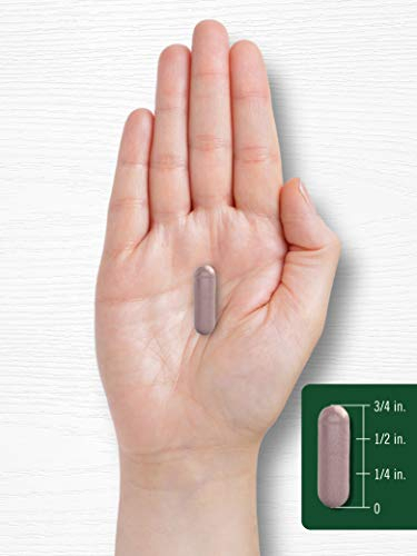 Salud y Equipamiento Médico - Carlyle Bilberry Extract 1200 Mg 200 Capsulas 4