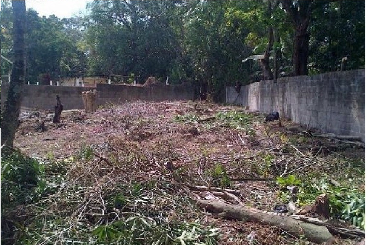 solares y terrenos - terreno a escasos metros de la nueva circunvalacion haina boca chica 