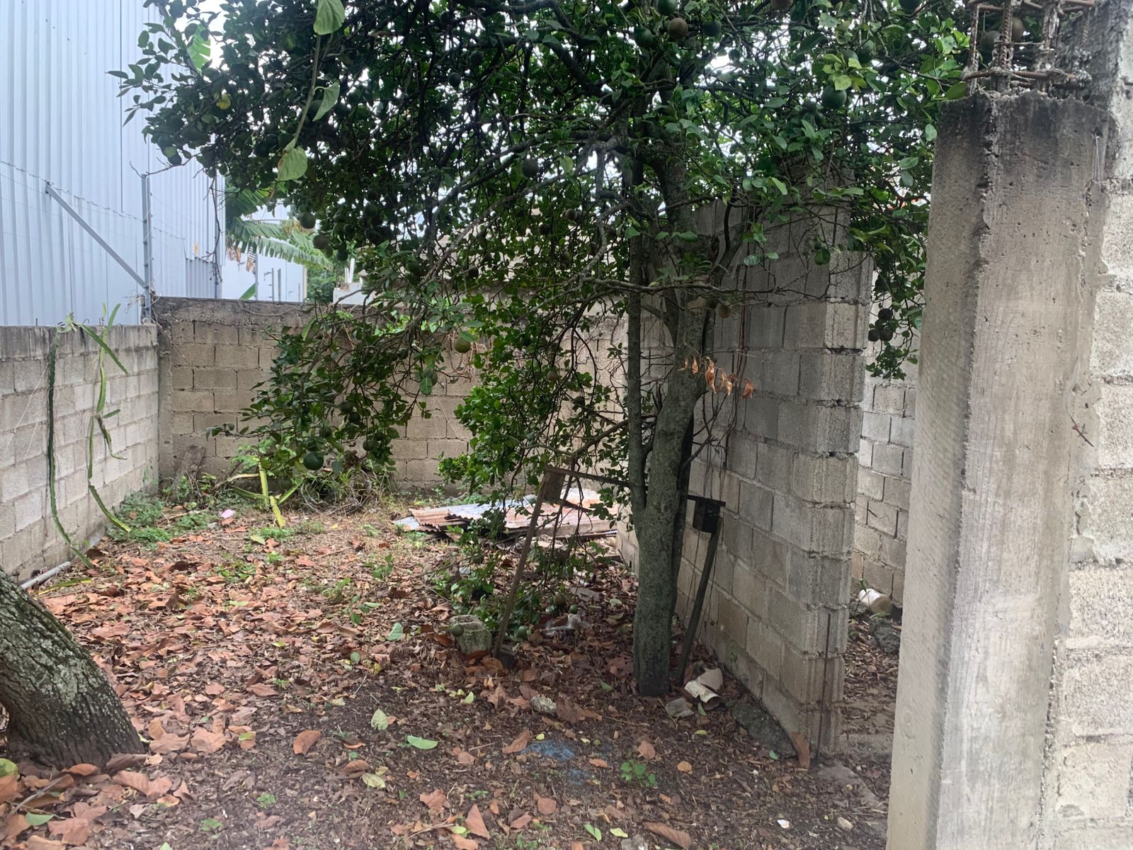 solares y terrenos - Se vende mejora en Tamboril, con titulo. 4