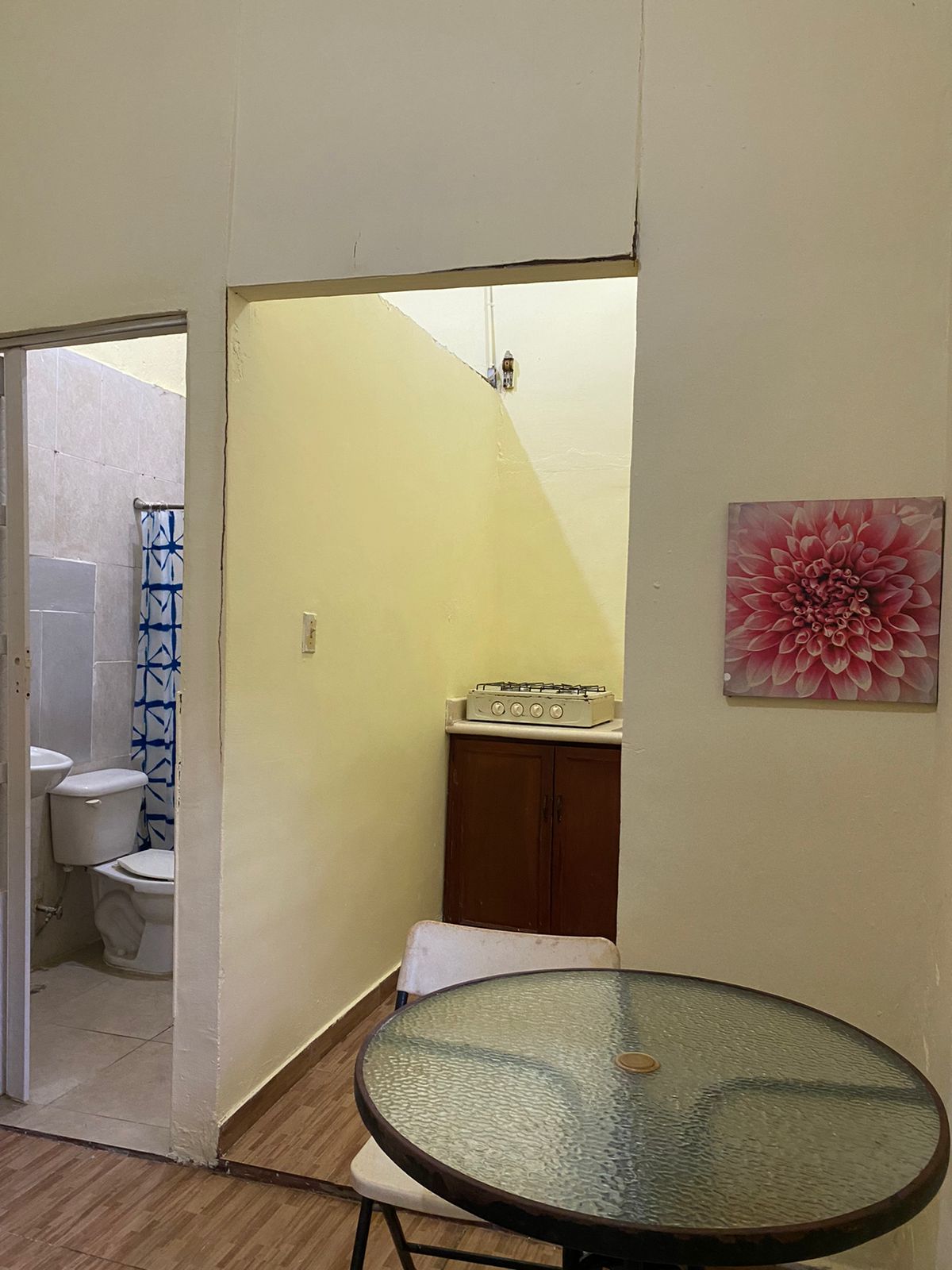apartamentos - Alquiler Estudio Ubicado en la Zona Colonial 1