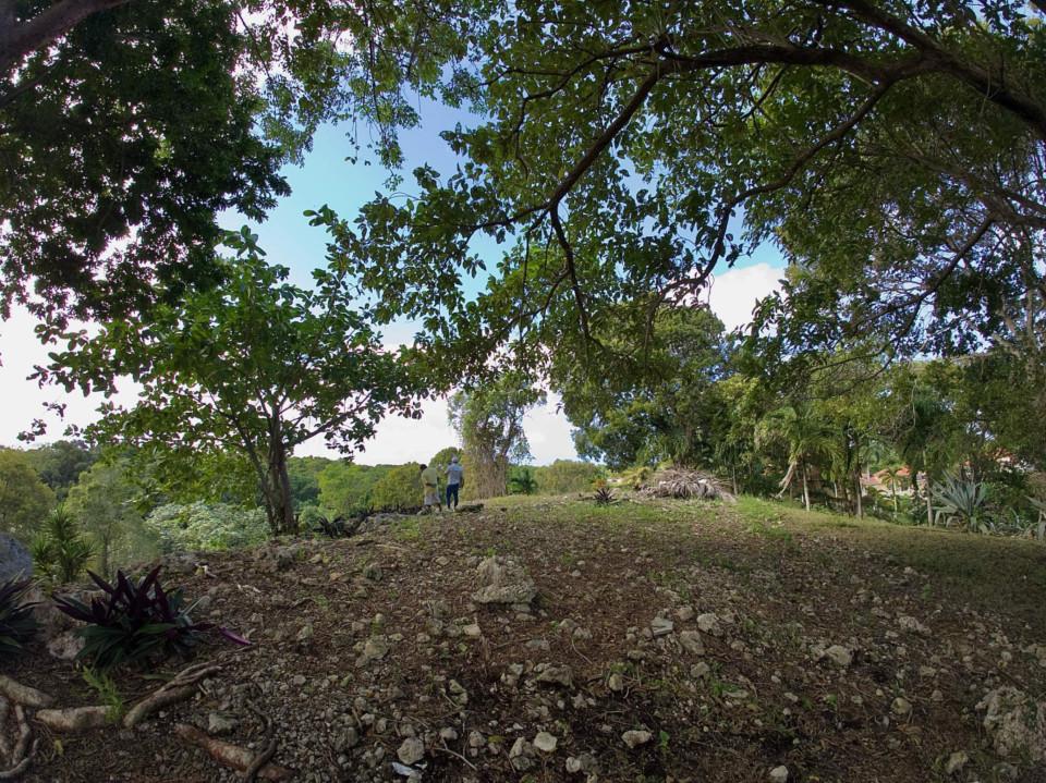 solares y terrenos - Terreno en LA MULATA 3