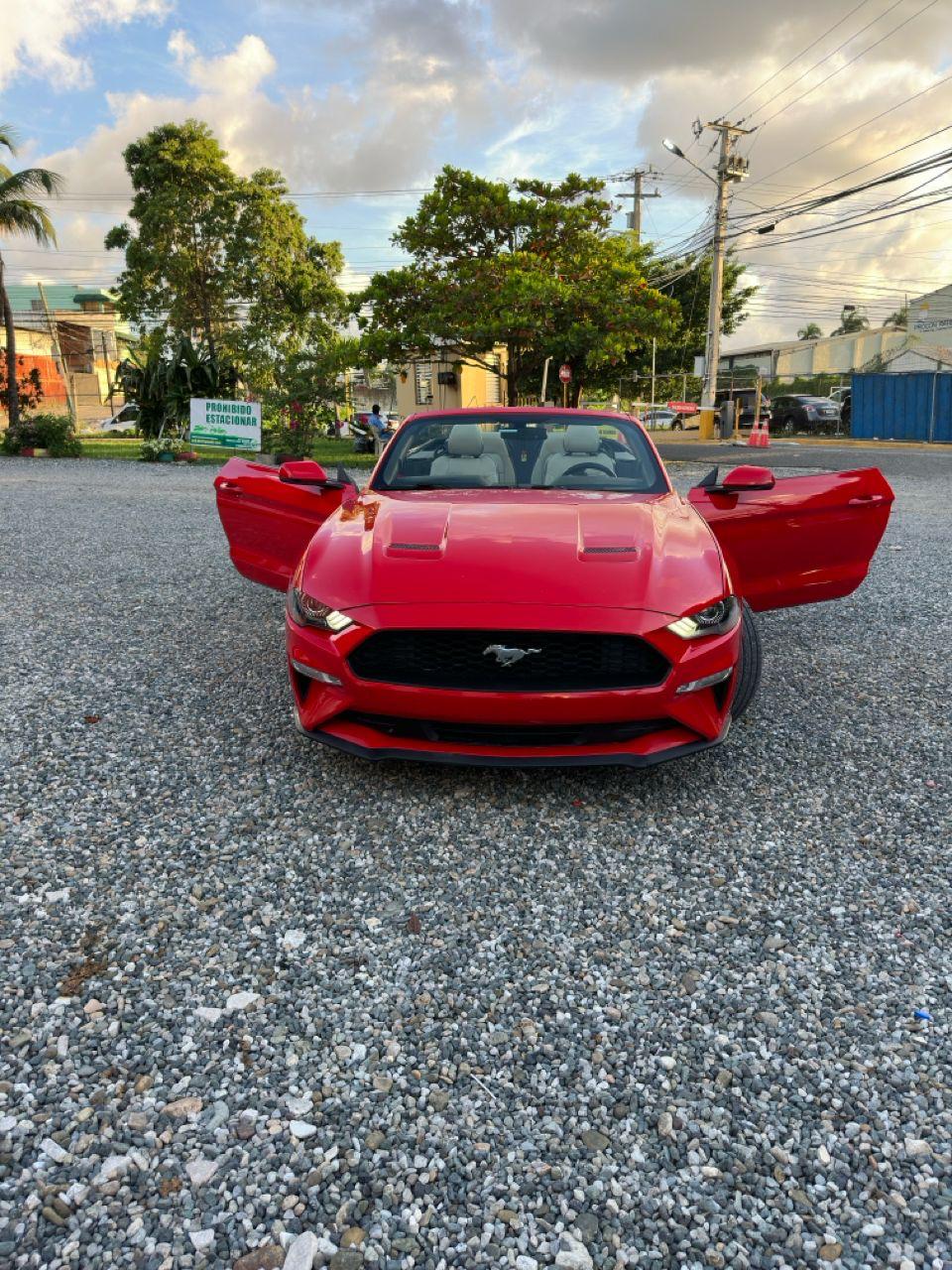 carros - Ford Mustang 2019 Convertible 8