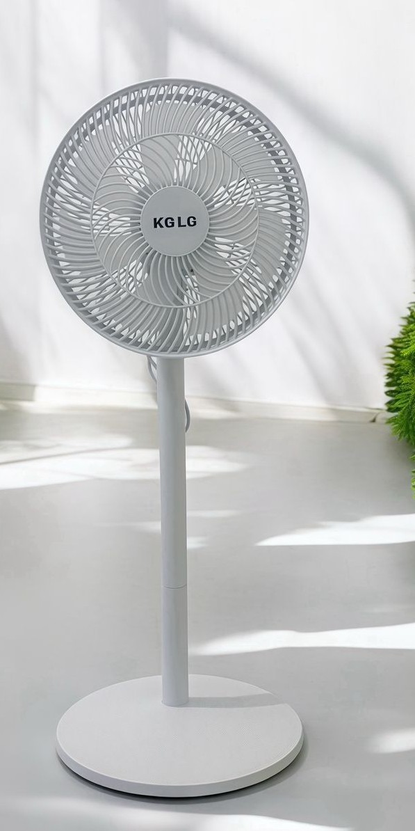 decoración y accesorios - Se Acabo el Calor  4