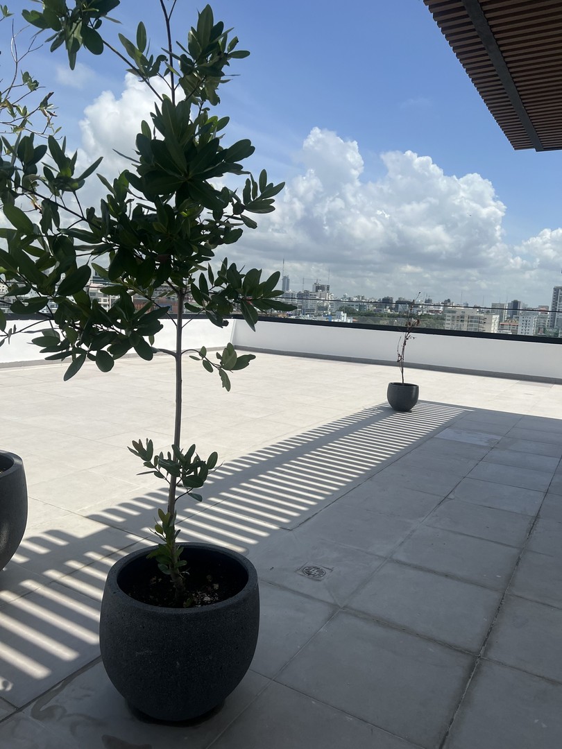 oficinas y locales comerciales - Bella Vista local u oficina de 45m2 1 parqueo 5