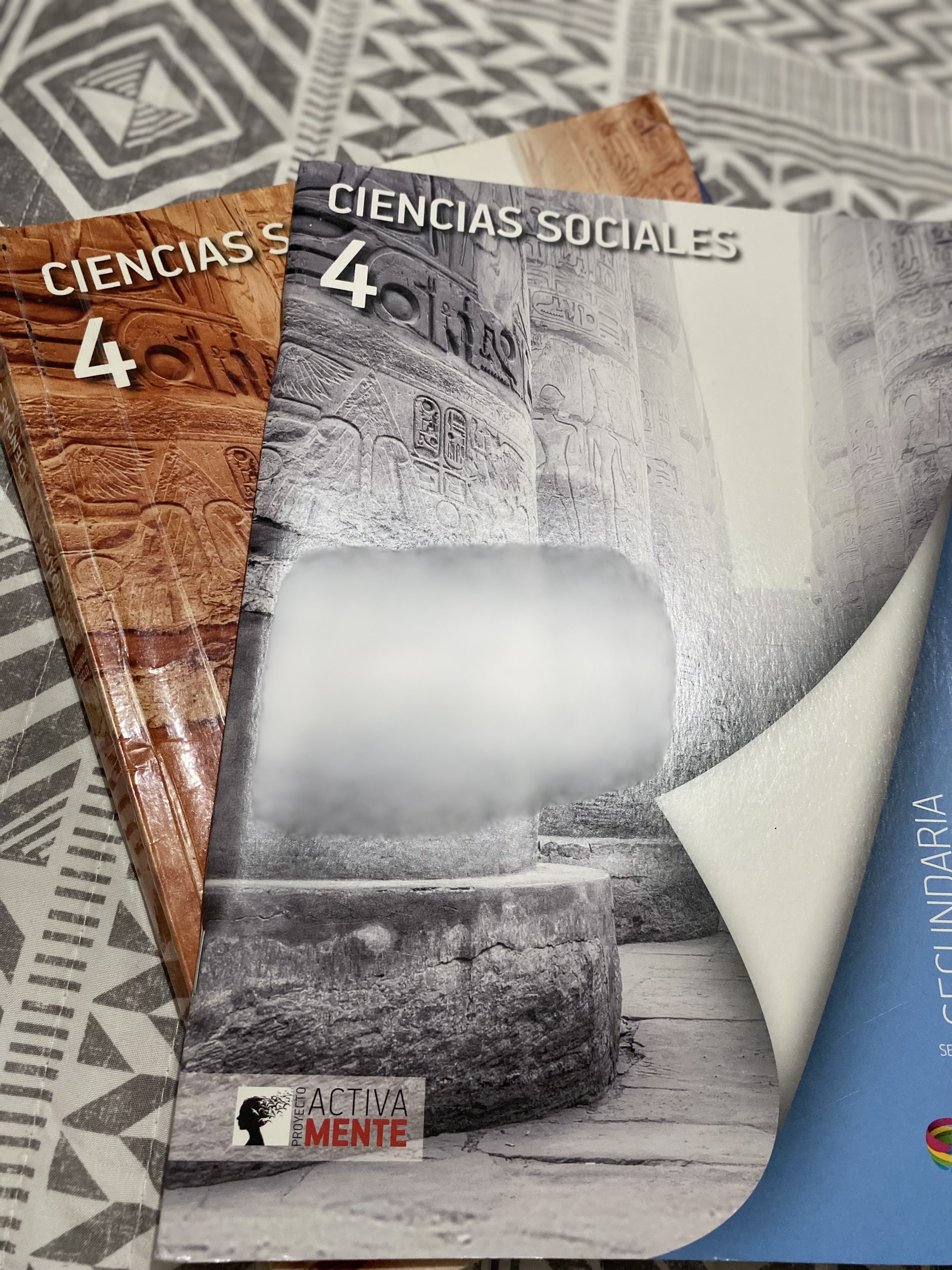 libros y revistas - Libros Santillana usados con cuadernillos nuevos  2