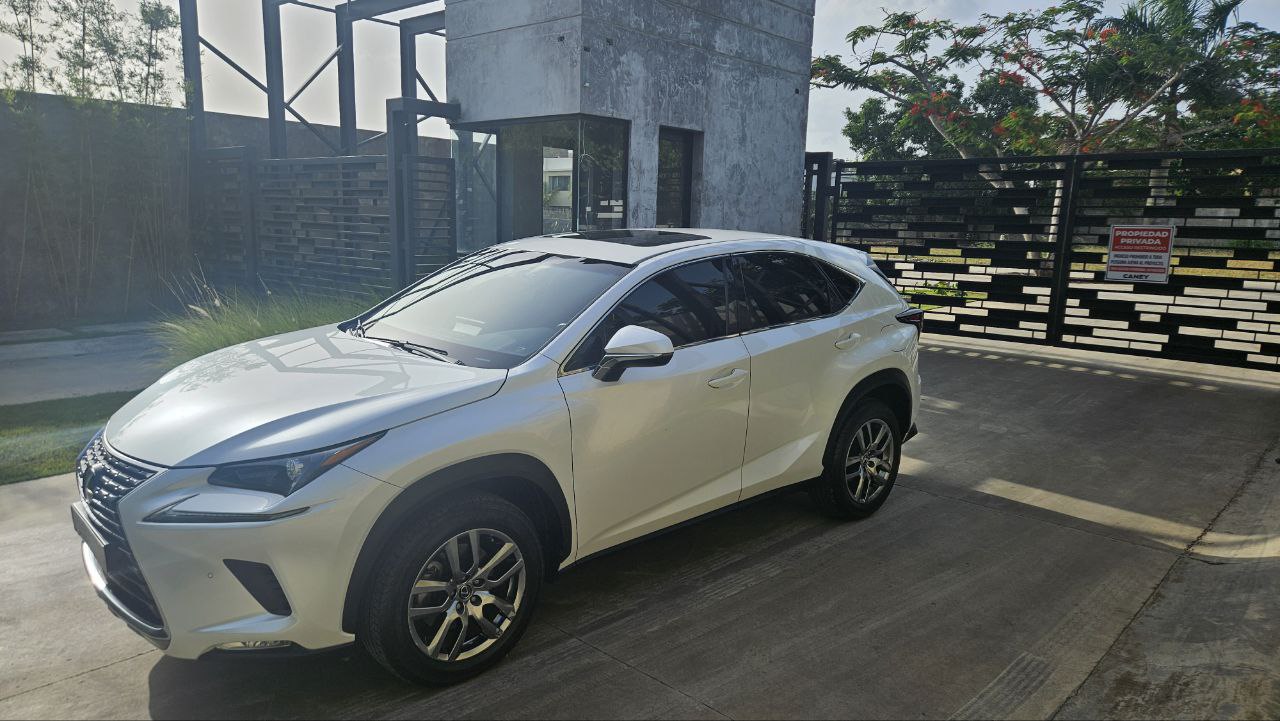 jeepetas y camionetas - Lexus NX300 2019 4