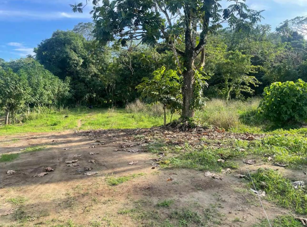 solares y terrenos - VENTA 8 SOLARES CON CONCEPTO RESIDENCIAL – PIEDRA BLANCA BONAO 2