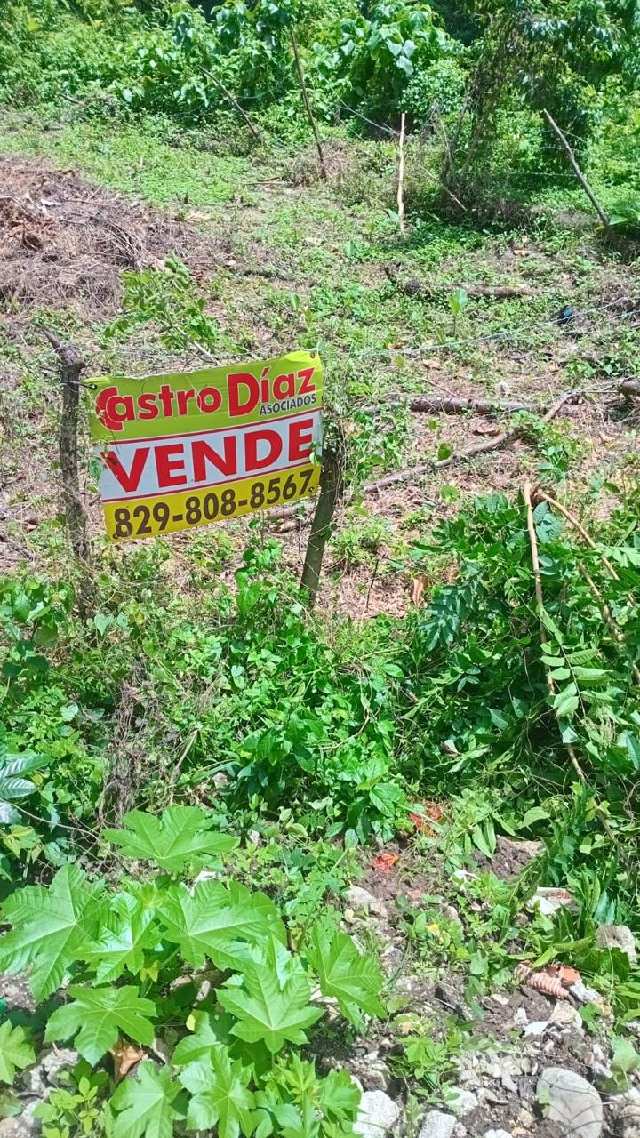 solares y terrenos - terreno en venta, Engombe  2