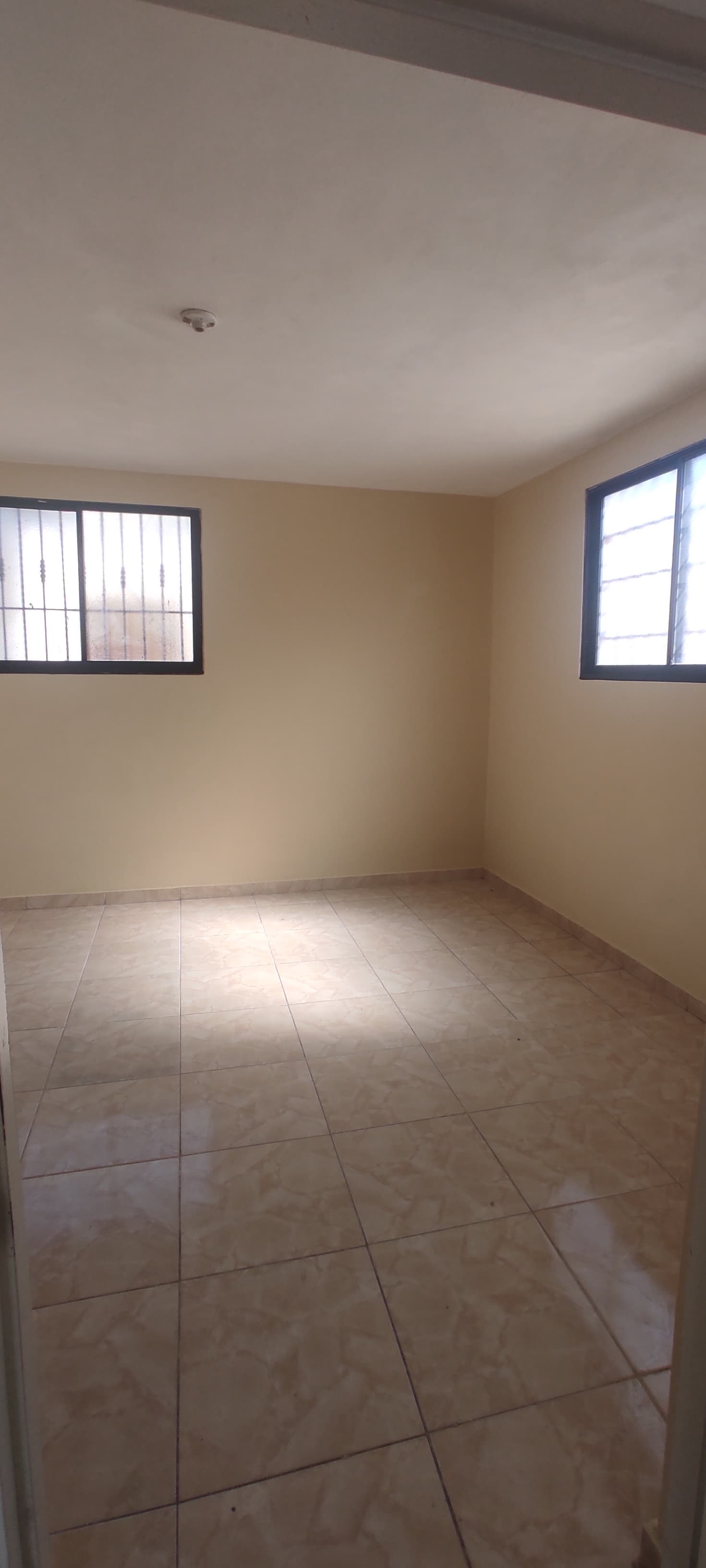 apartamentos - AMPLIO APARTAMENTO EN ALQUILER, ALMA ROSA I. 6
