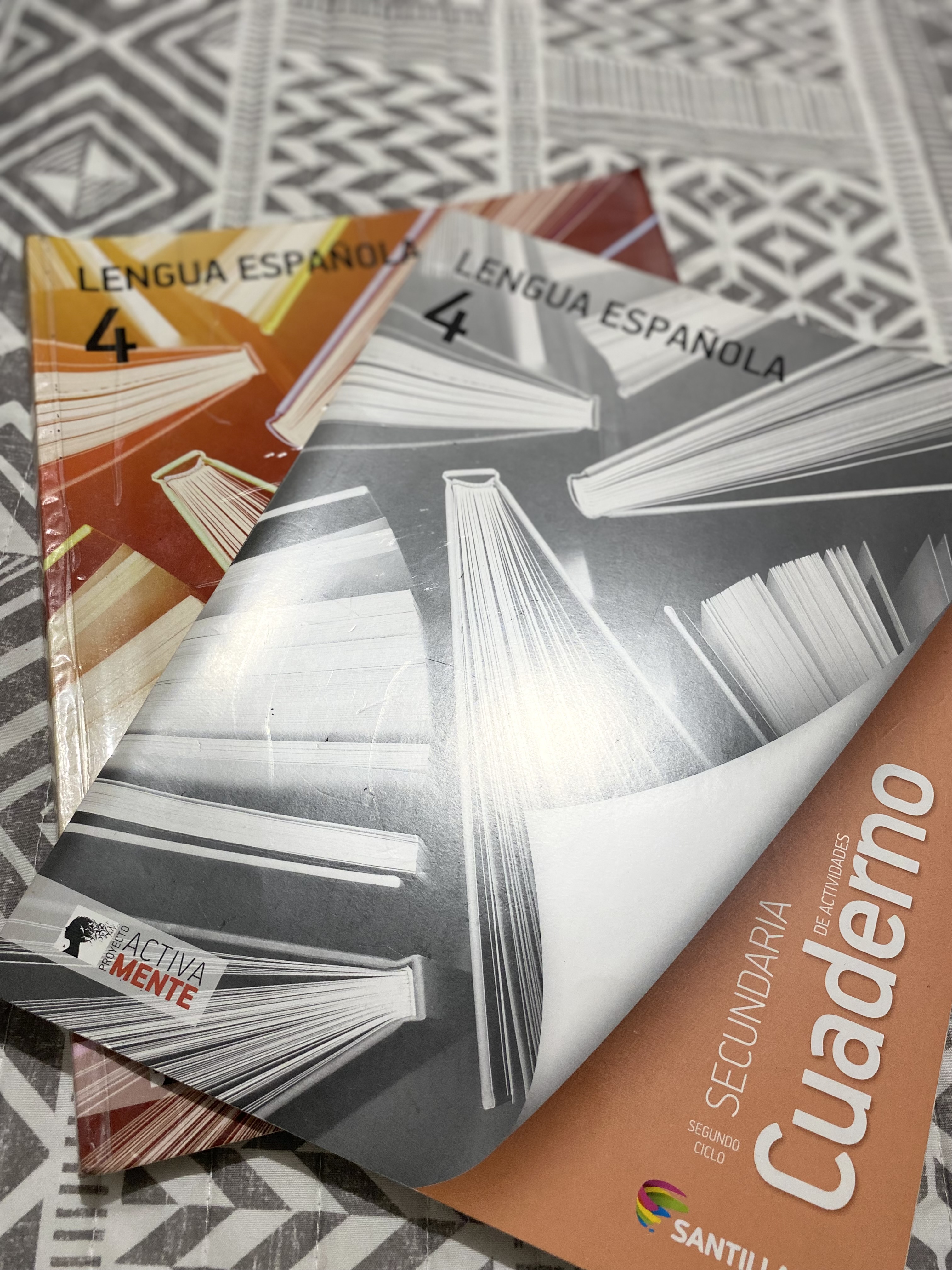 libros y revistas - Libros Santillana usados con cuadernillos nuevos  3
