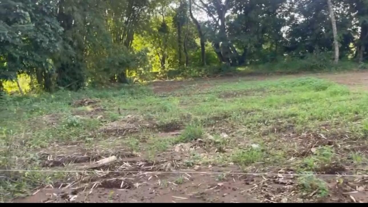 solares y terrenos - VENTA 8 SOLARES CON CONCEPTO RESIDENCIAL – PIEDRA BLANCA BONAO 3