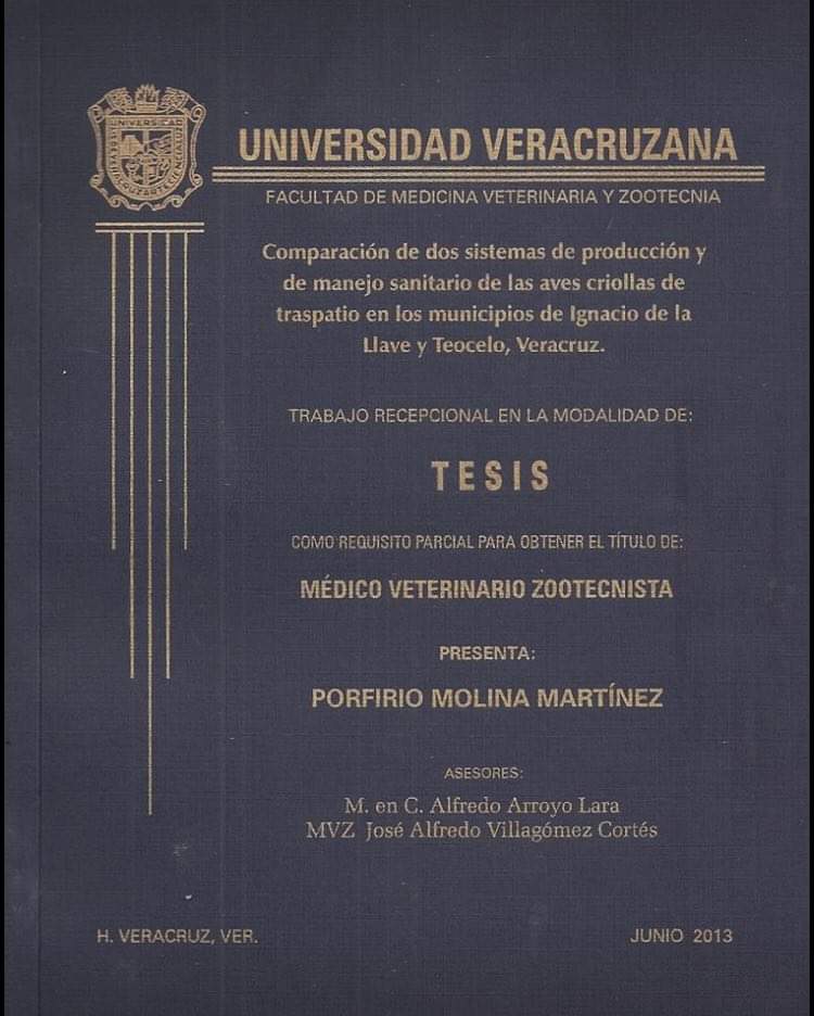 servicios profesionales - Asesoria de tesis, tesina, monografico, tesis de maestria, tesis doctoral.  7