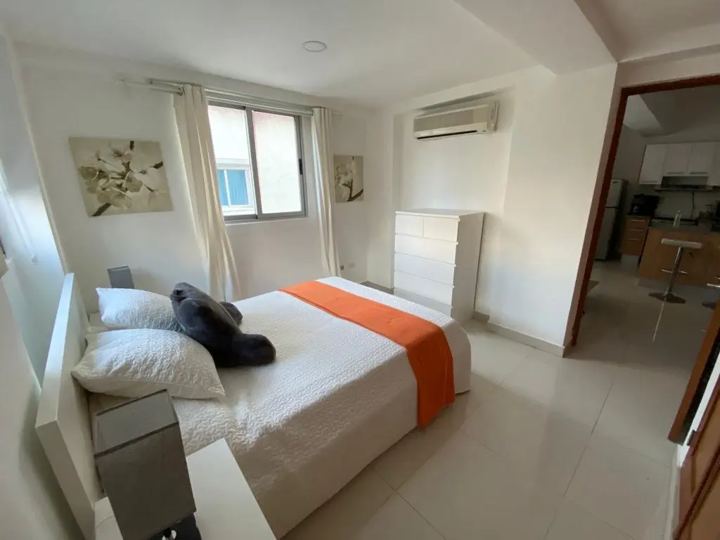 apartamentos - Apartamento Amueblado venta Serralles 1 habitacion 5