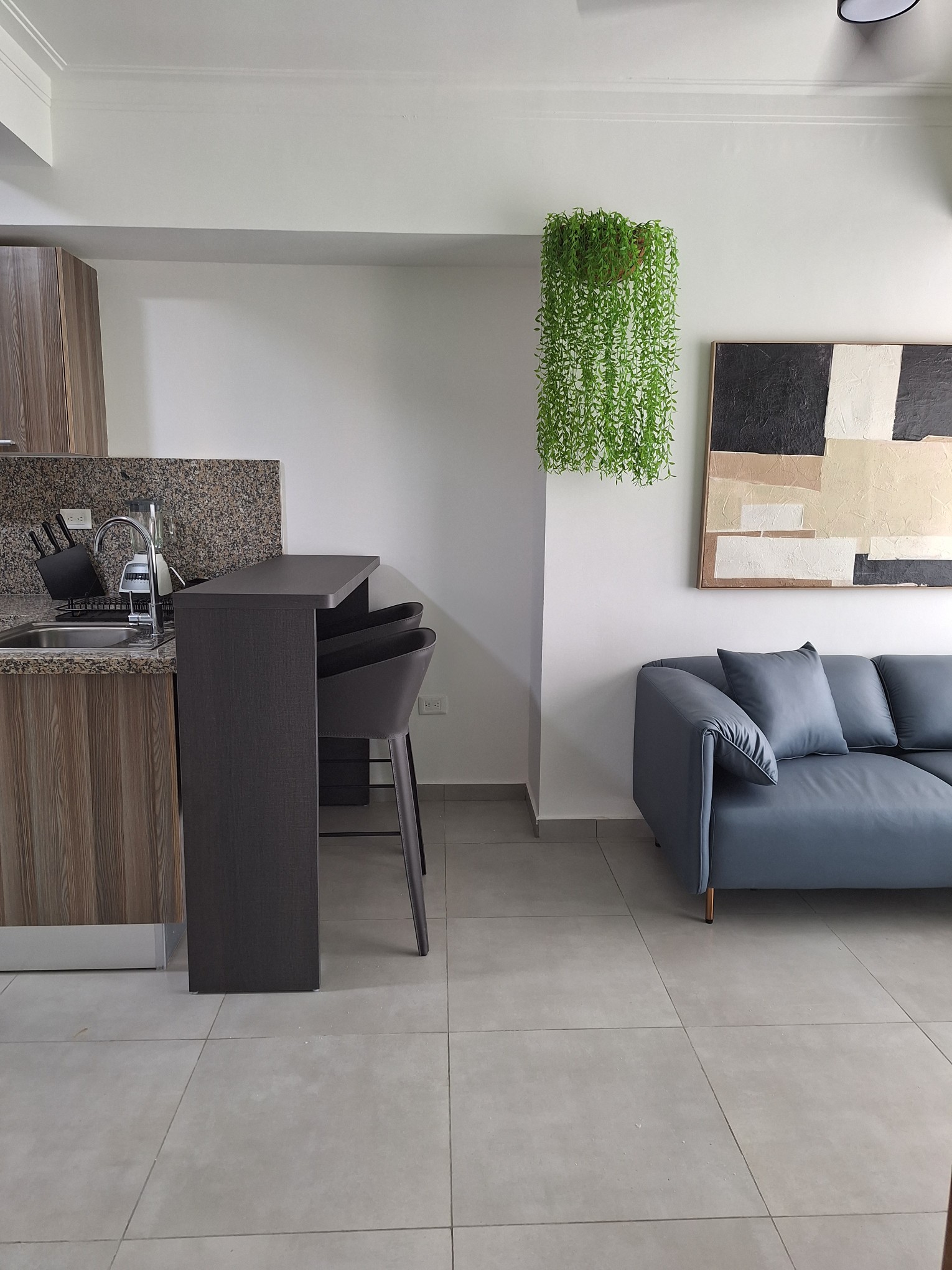 apartamentos - Rento apartamento amueblado moderno áreas sociales  2
