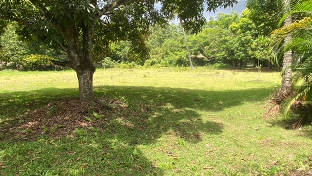 solares y terrenos - finca 24 tareas de tierra  4
