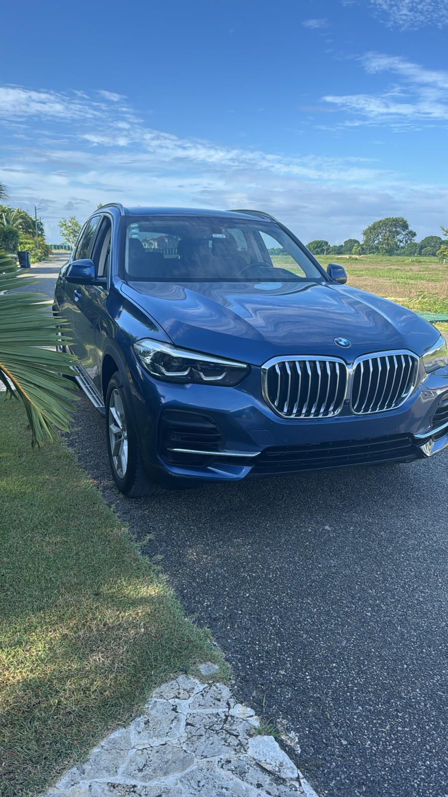jeepetas y camionetas - bmw x5 25d 2023 0