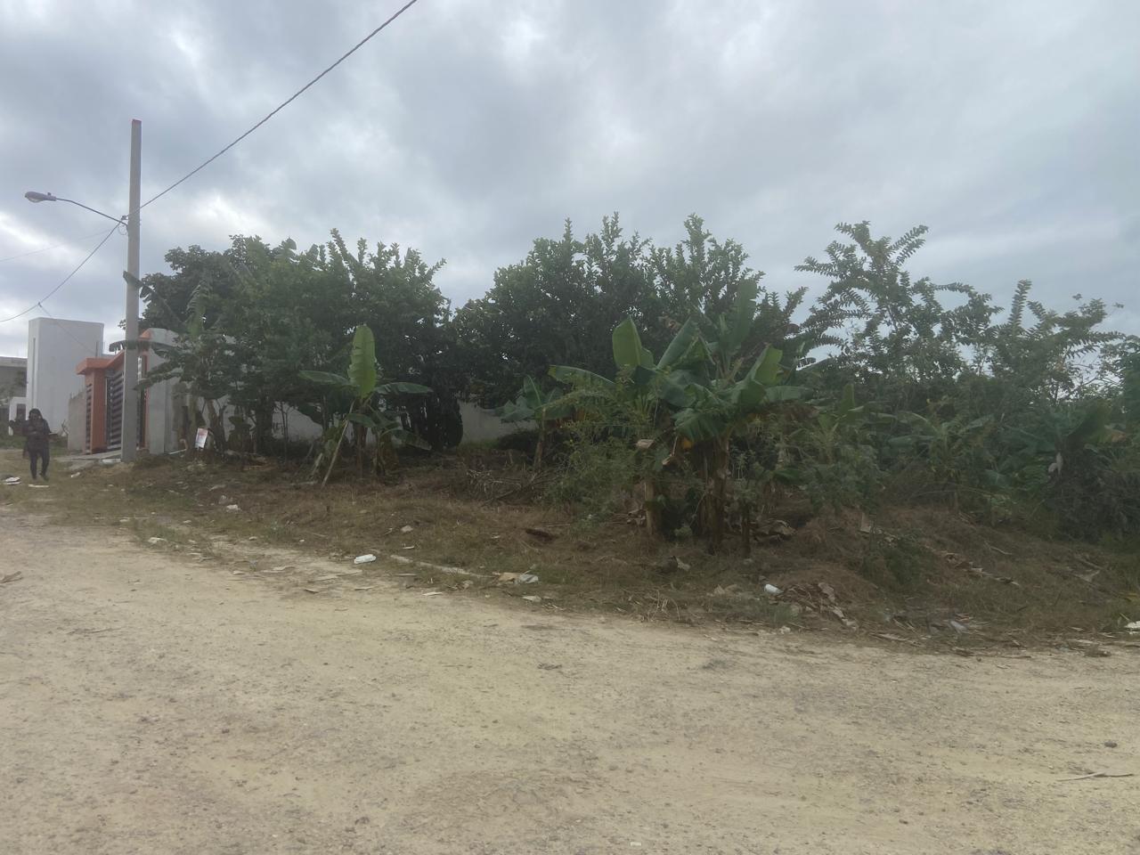 solares y terrenos - VENTA DE TERRENO EN PANTOJA 8