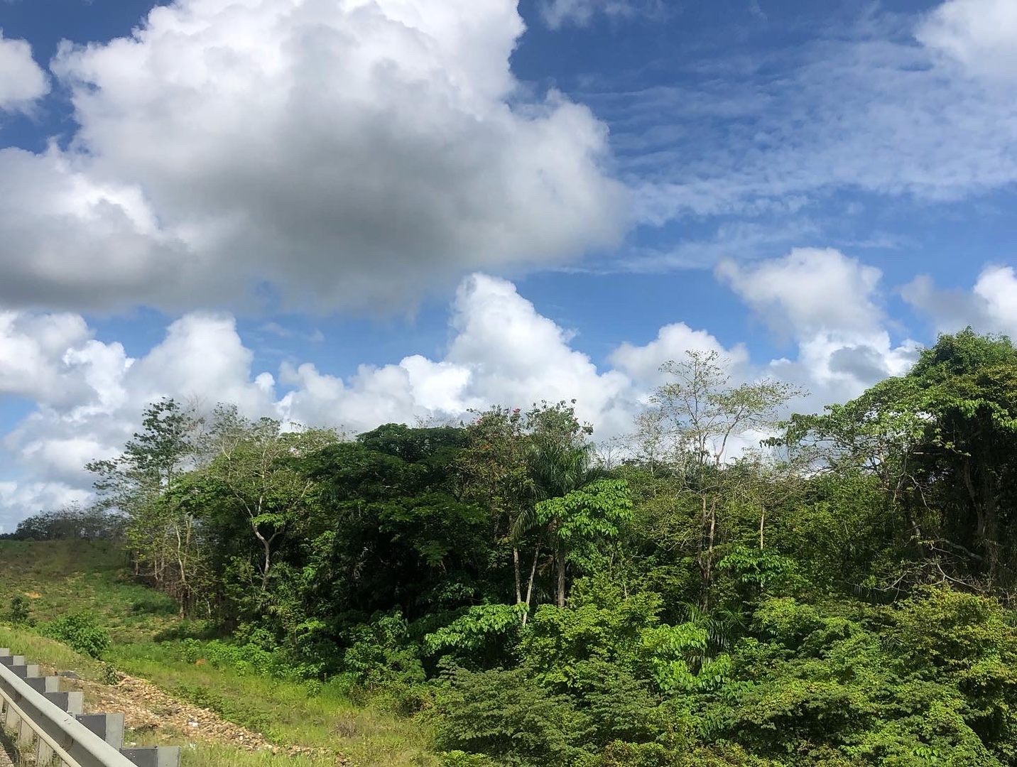solares y terrenos - Punta cana  6