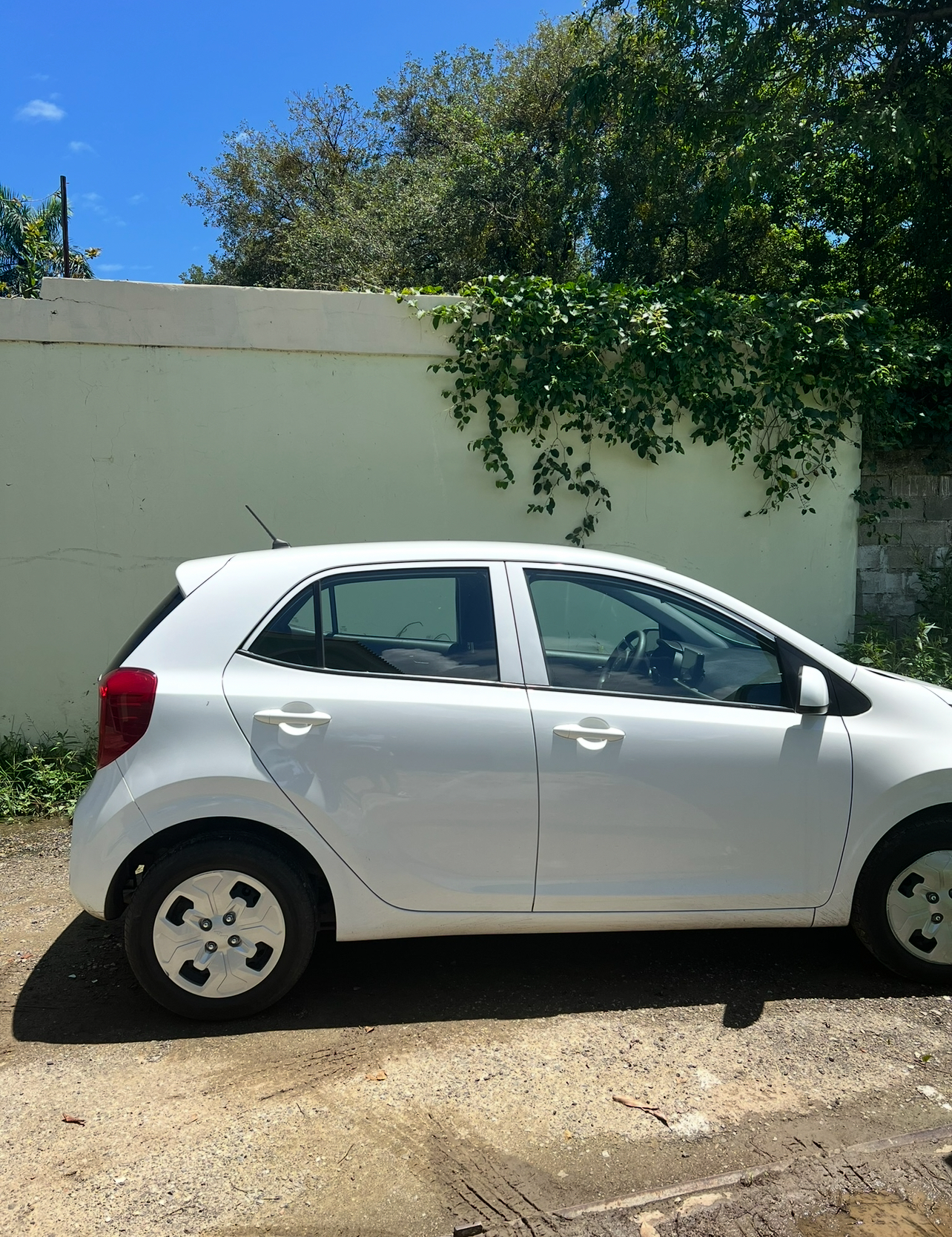 carros - Se vende Kia Picanto 2024 casi nuevo  1